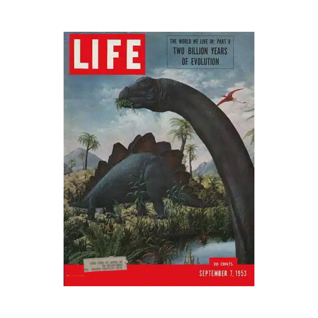 VTG Life Magazine September 7, 1953 Two Billion Years of Evolution