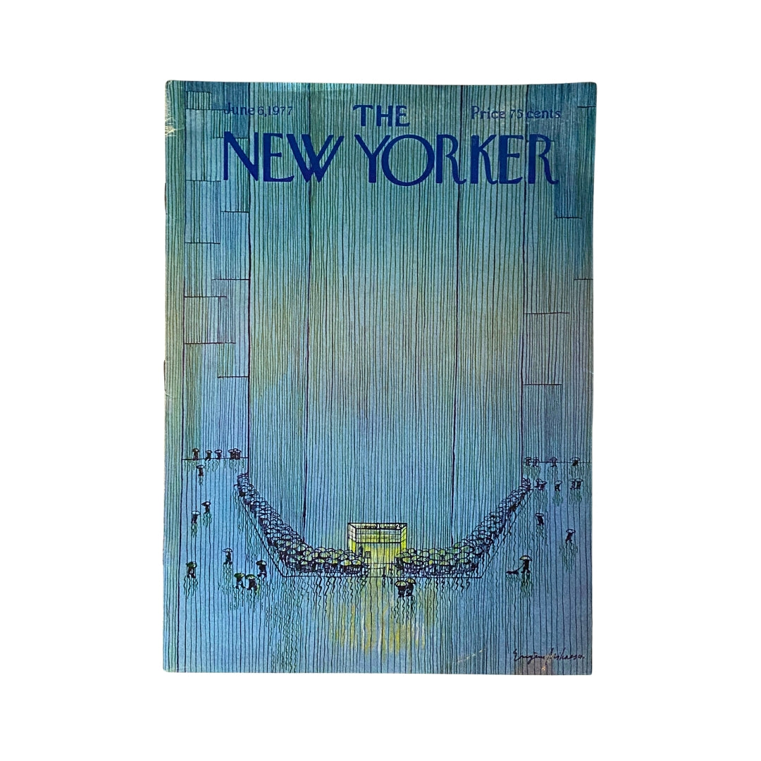 The New Yorker Complete Magazine June 6, 1977 cover featuring artwork by Eugene Mihaesco, showcasing a unique artistic style reflective of the 1970s.