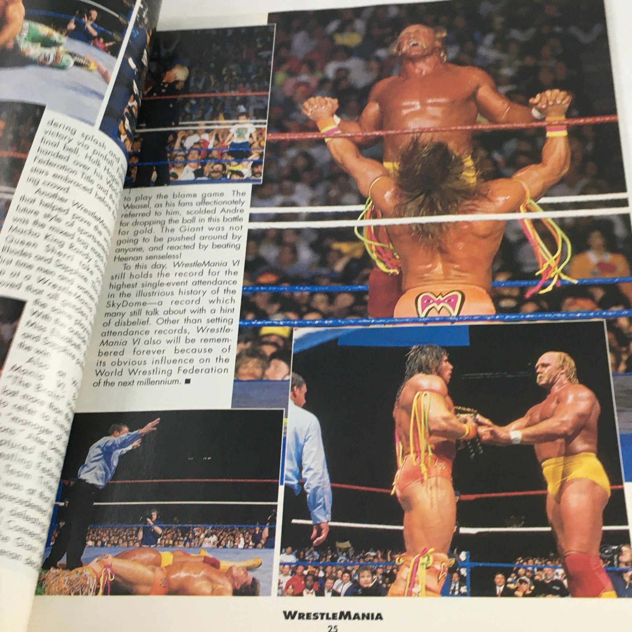 WWF Magazine 2000 Wrestle Mania Hulk Hogan, The Rock & Bam Bam Bigelow, No Label