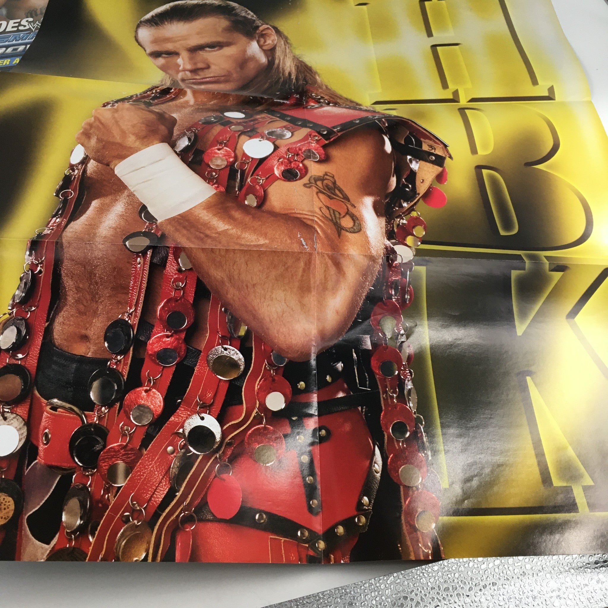 WWE 2011 Signature Series The Year in Photos John Cena, Randy Orton, Triple H