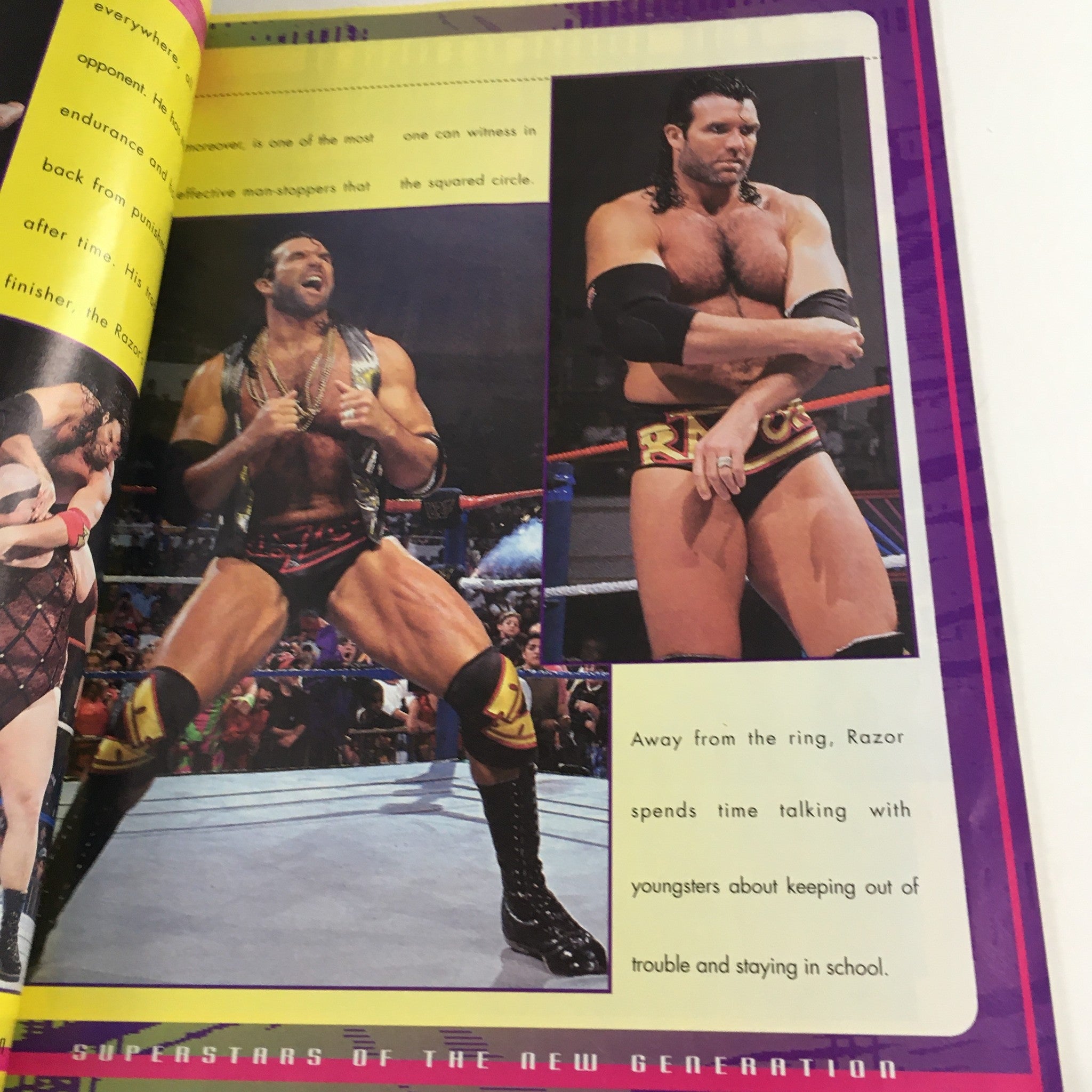 WWF 1995 The Superstars of the New Generation Book 1 Razor, Jerry Lawler