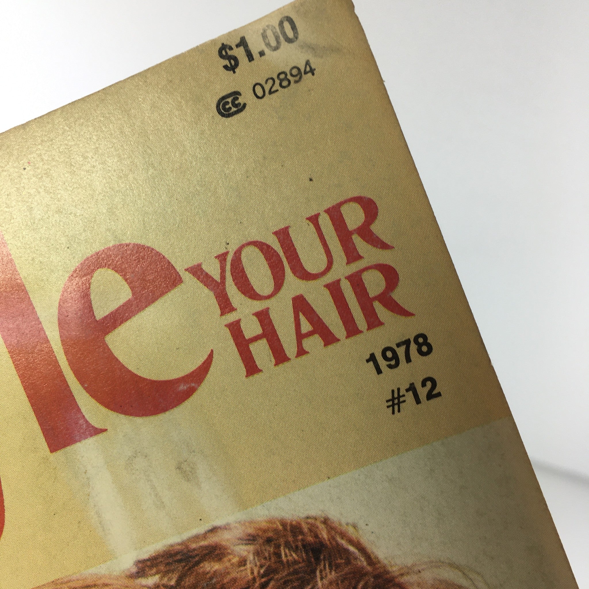 VTG Set'N Style Magazine: 1978 - Issue #12 100s of Magic Ideas To Your Hair