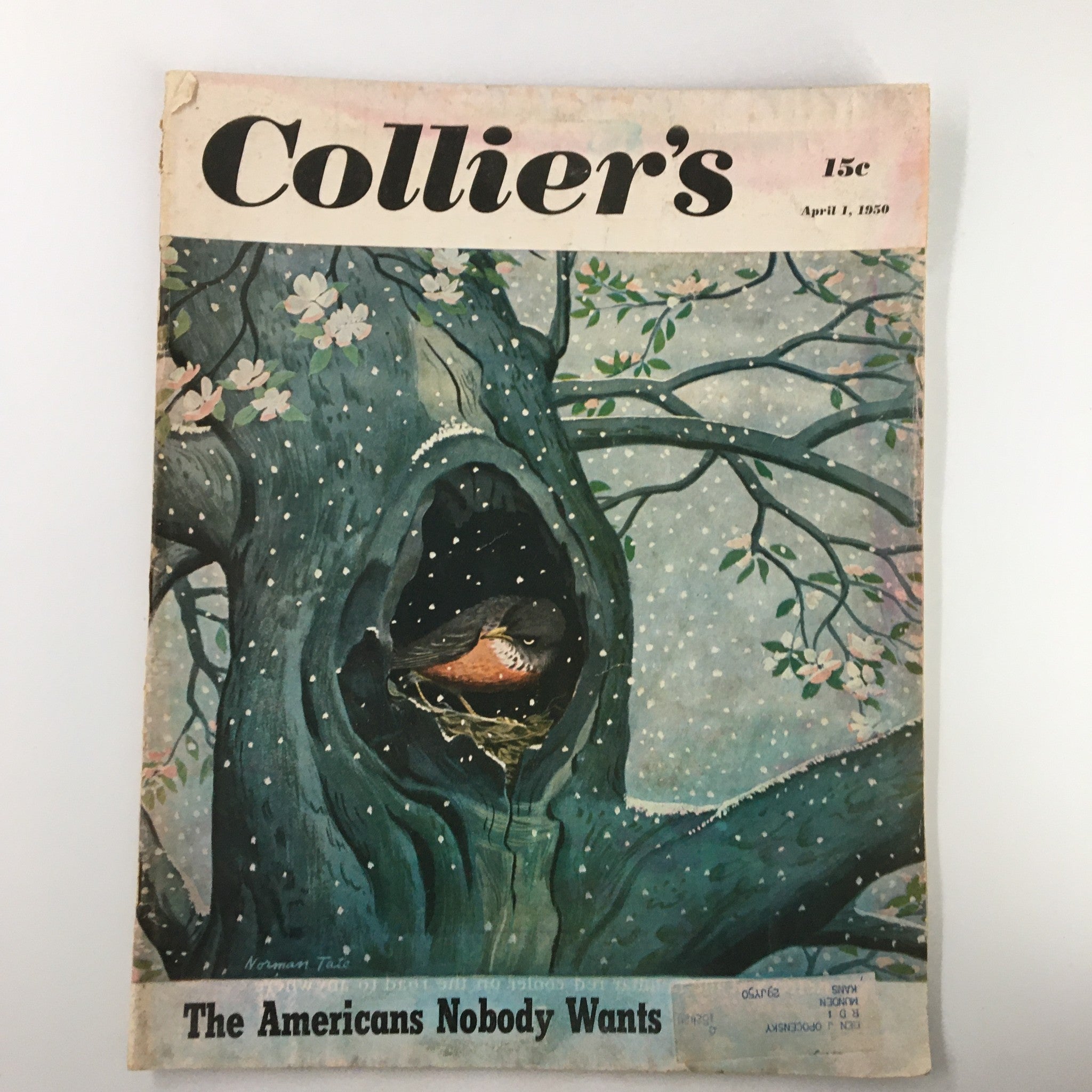 VTG Collier's Magazine April 1 1950 The Americans Nobody Wants