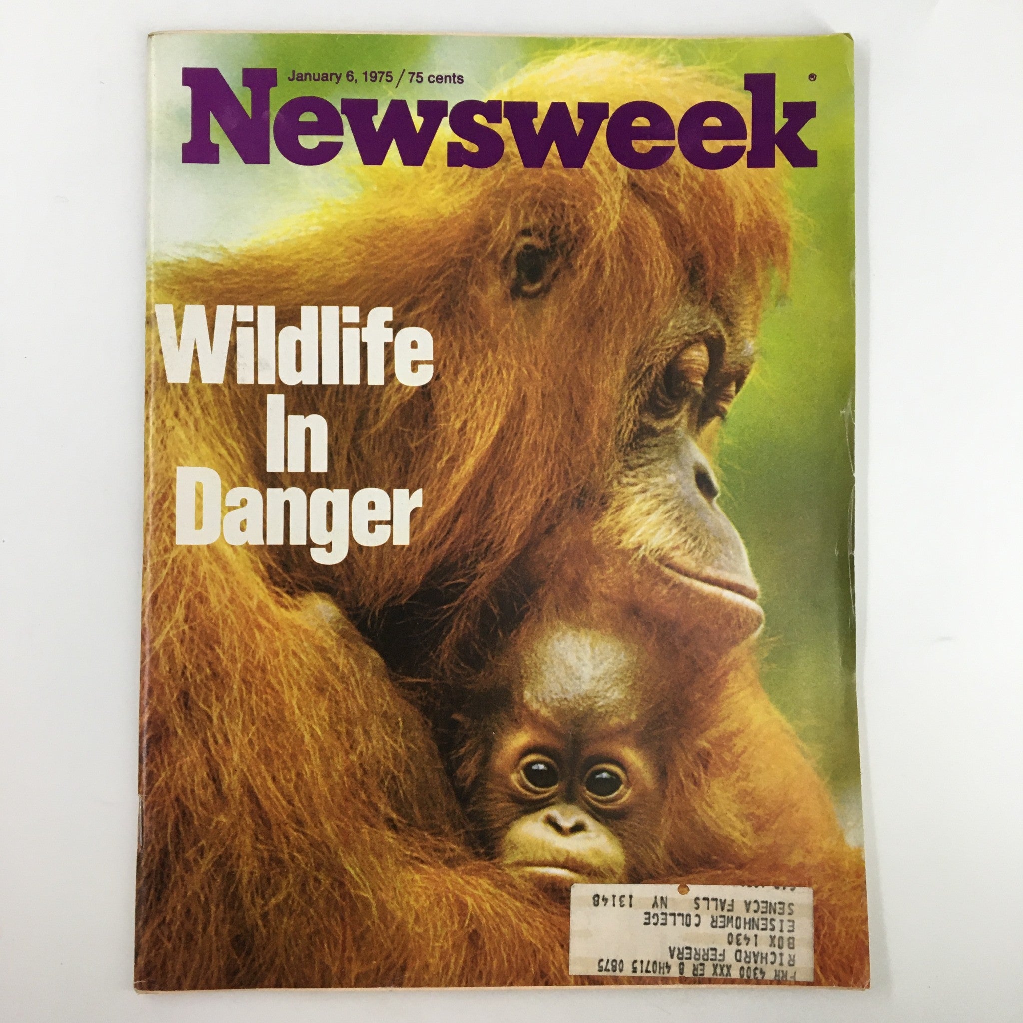 VTG Newsweek Magazine January 6 1975 Wildlife in Danger Orangutans in Cover