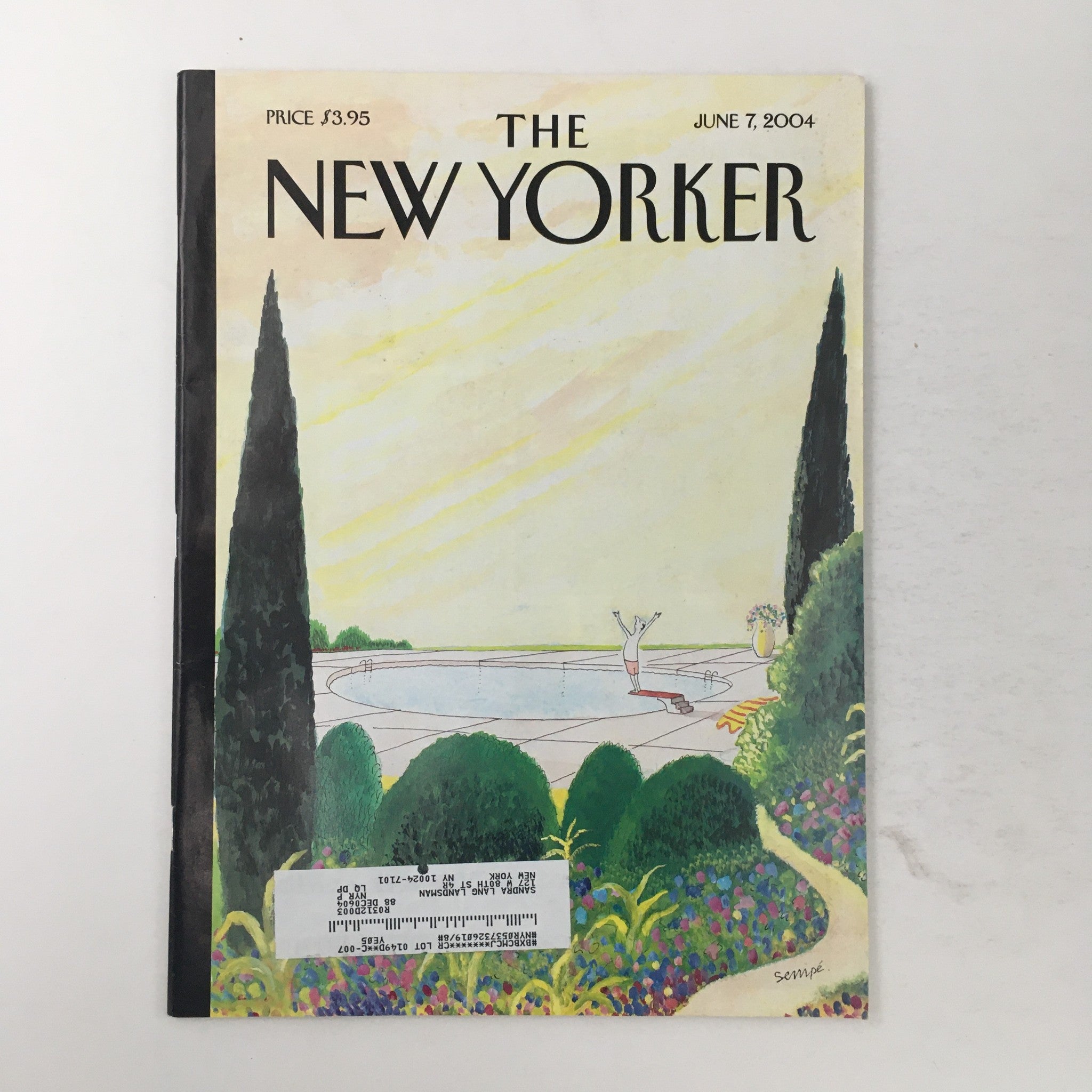 The New Yorker Full Magazine June 7 2004 A Good Life by Jean-Jacques Sempé VG