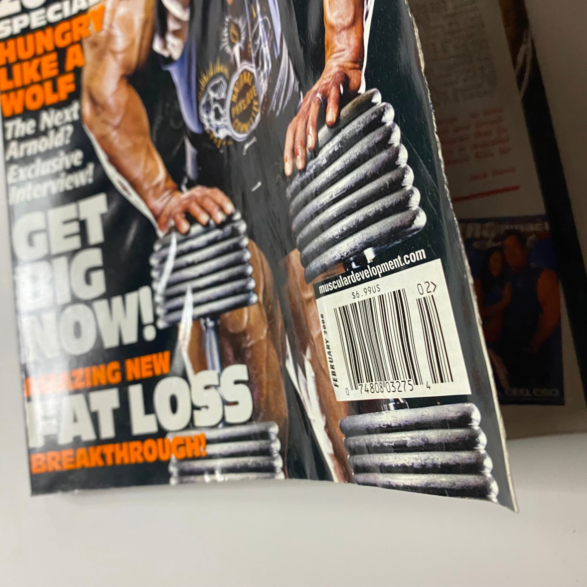 Muscular Development Magazine February 2008 Dennis Wolf GD Interior No Label