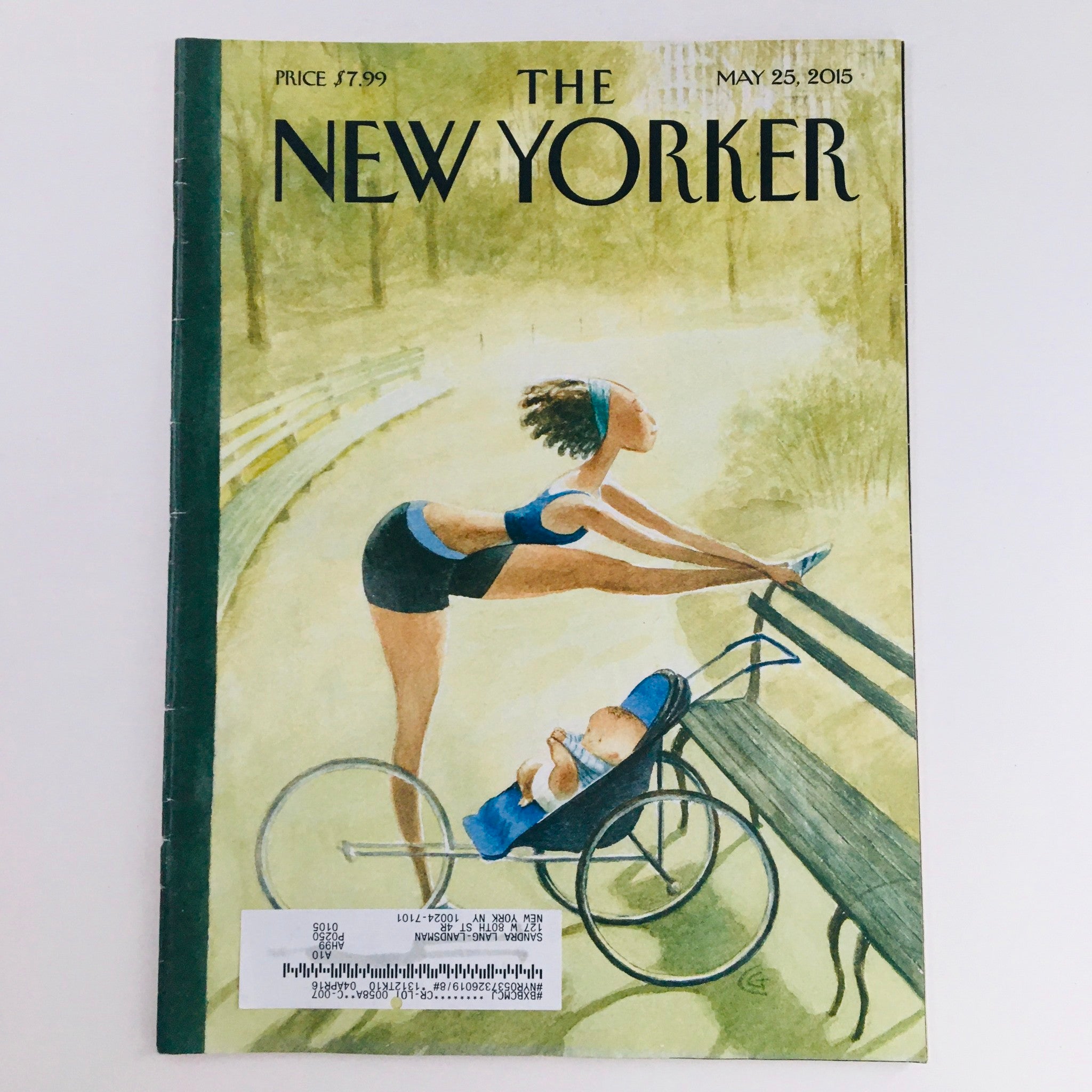 The New Yorker May 25 2015 Full Magazine Theme Cover by Carter Goodrich VG