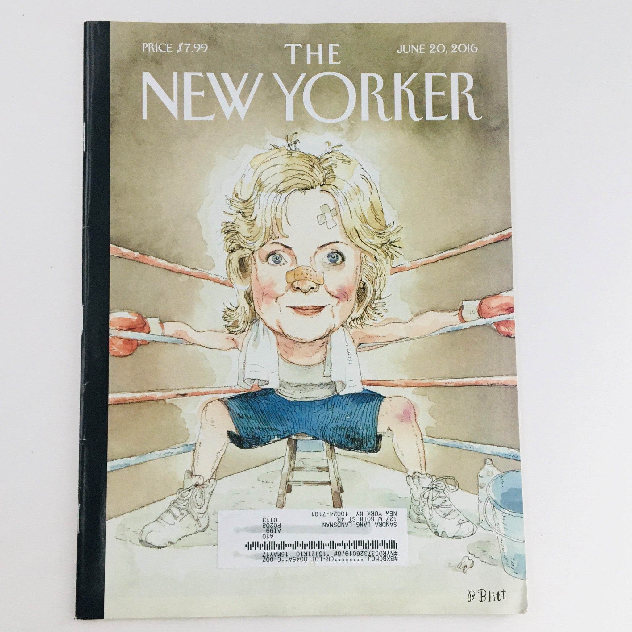 The New Yorker June 20 2016 Full Magazine Theme Cover by Barry Blitt VG