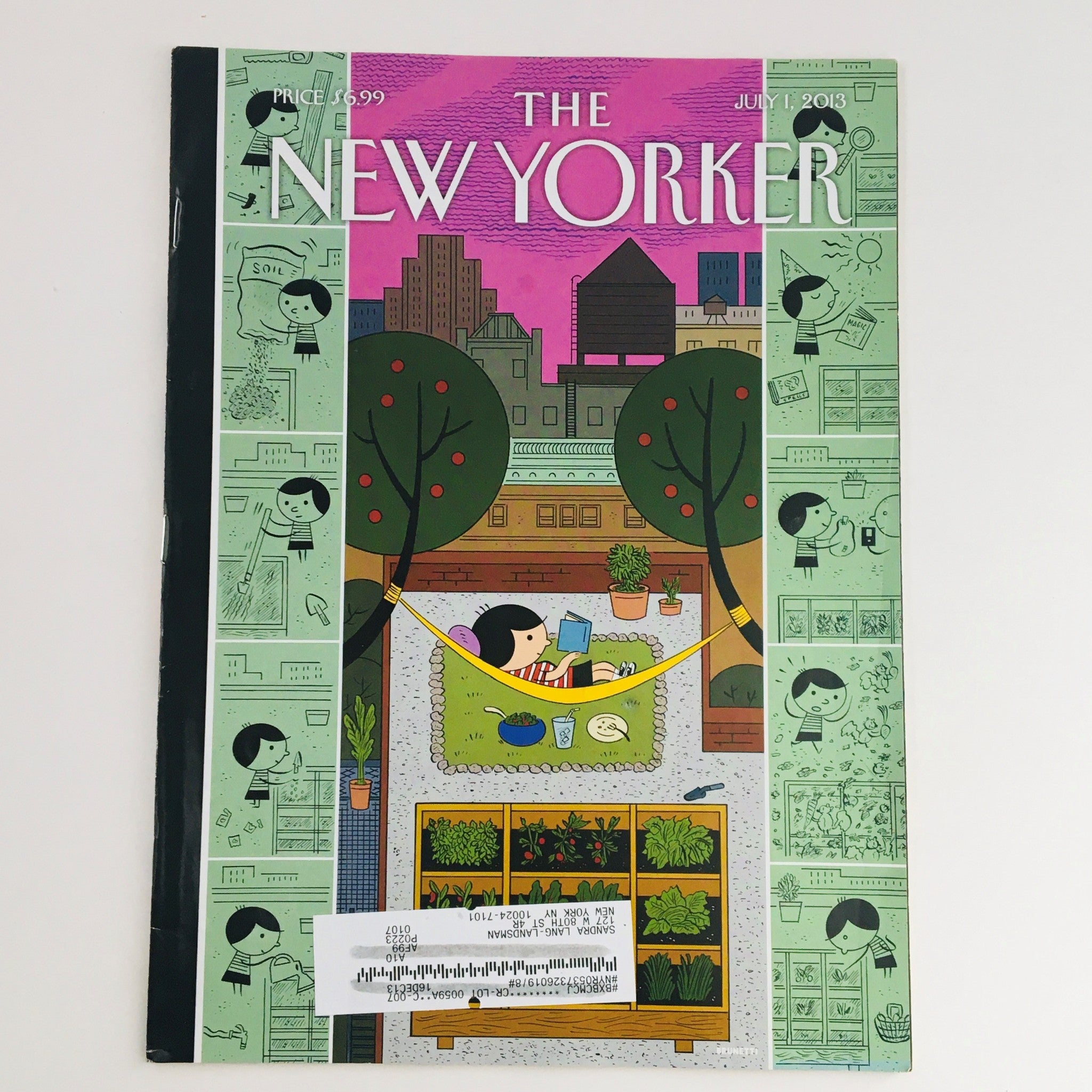 The New Yorker Full Magazine July 1 2013 Garden Reading by Ivan Brunetti VG