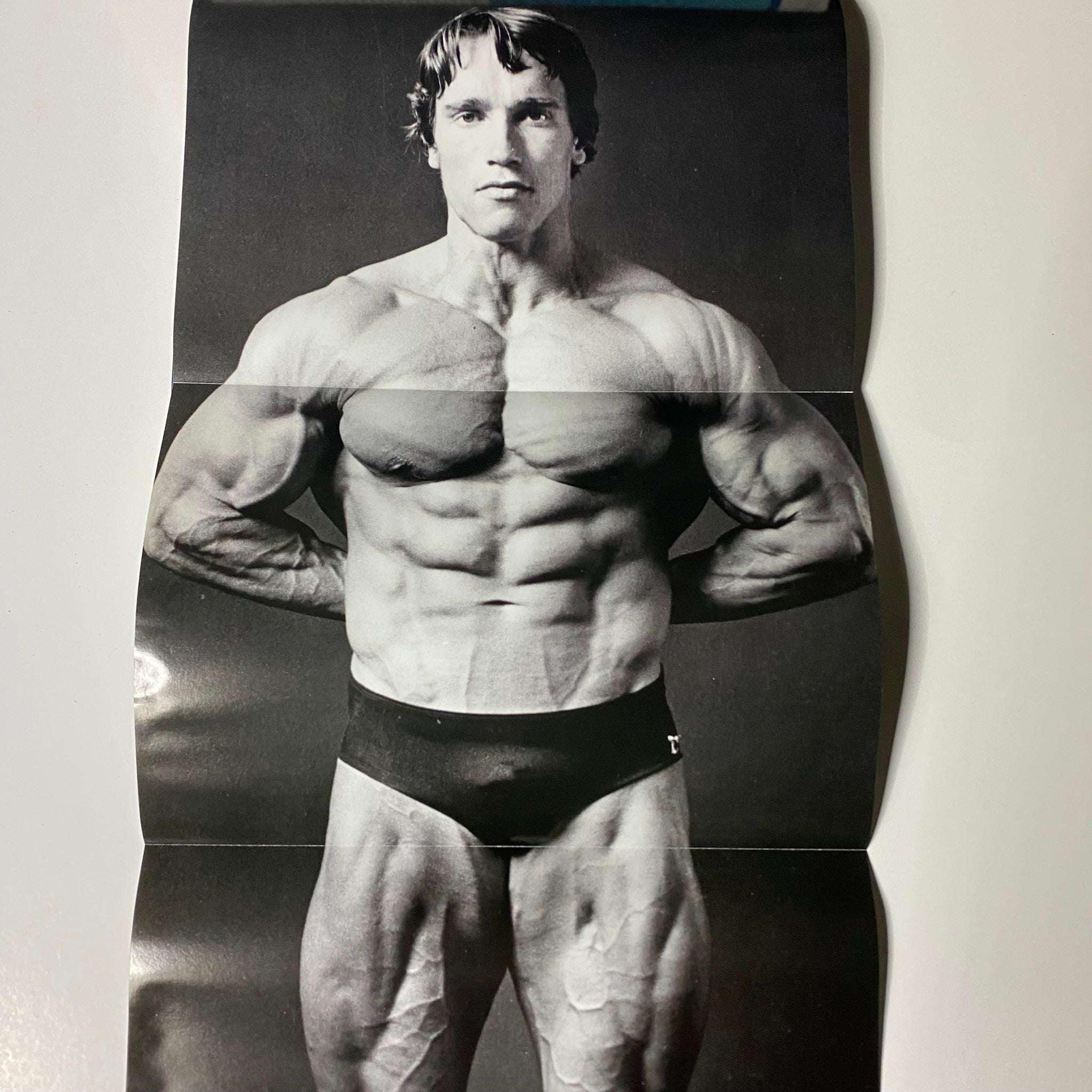 Muscular Development Magazine April 2011 Arnold Schwarzenegger w Poster No Label