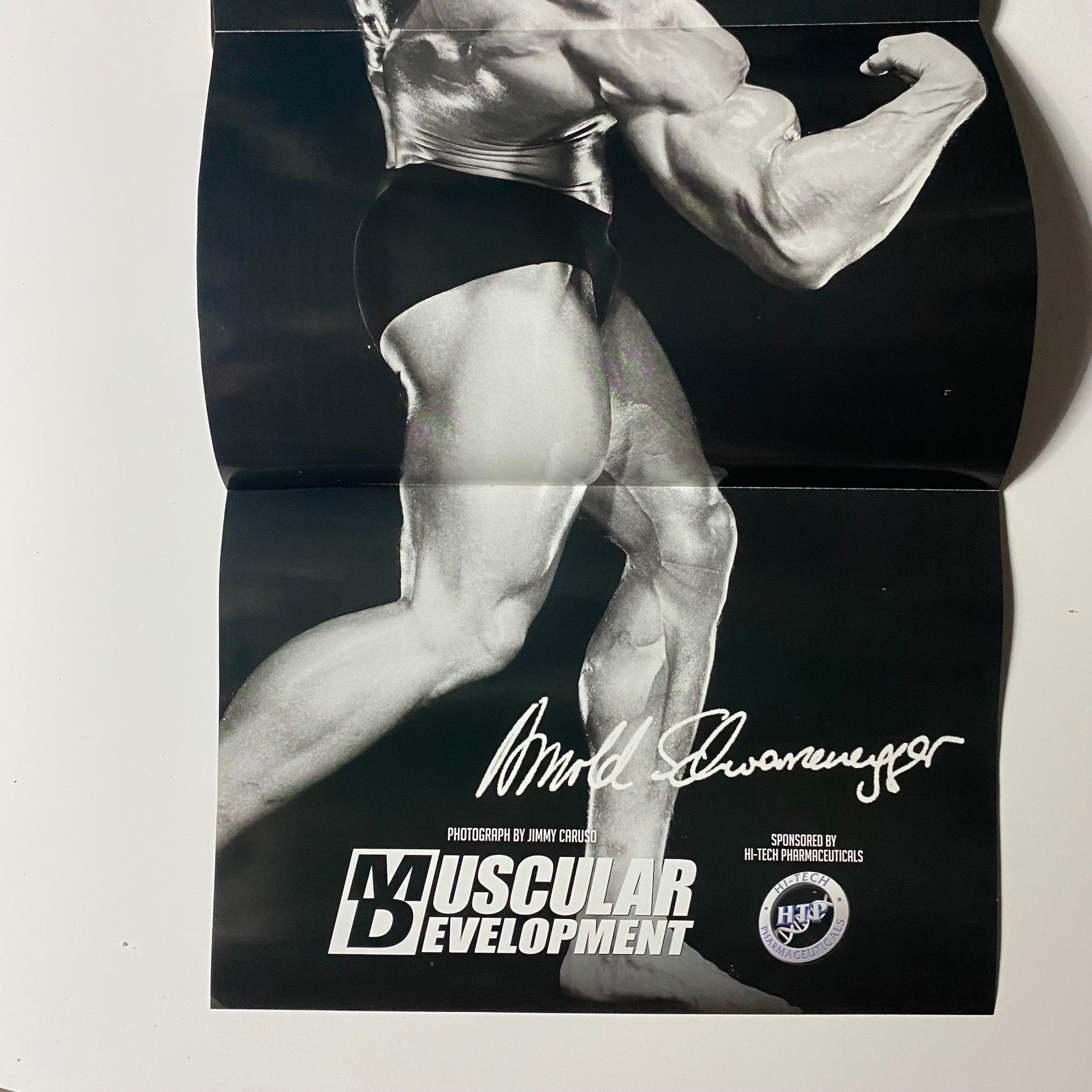 Muscular Development Magazine December 2012 Arnold Schwarzenegger w Poster