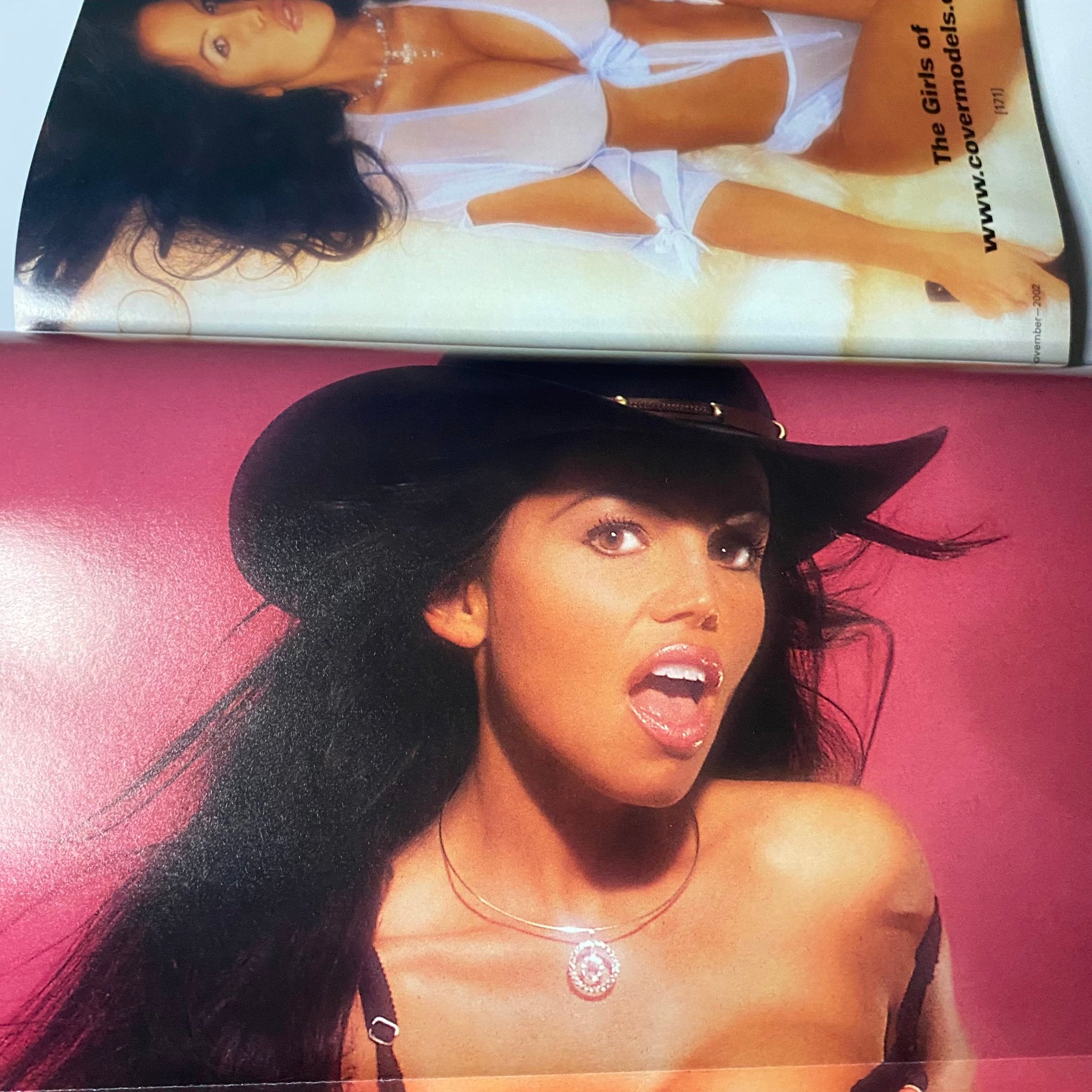 Muscular Development Magazine November 2002 Erin Ellington w Poster No Label