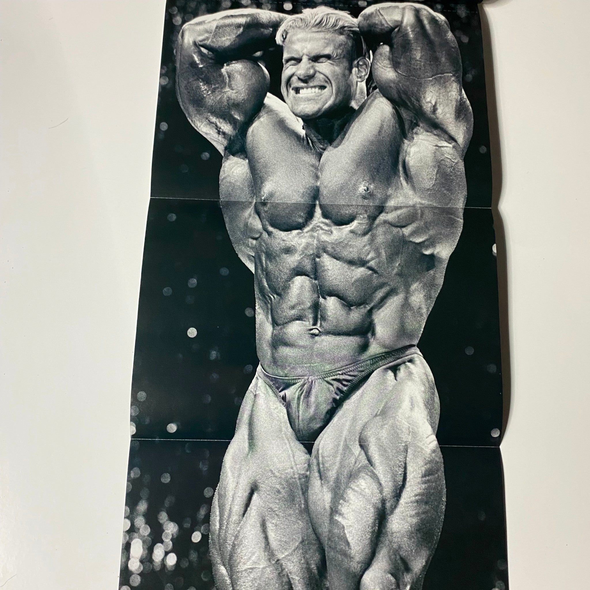 Muscular Development Magazine November 2003 Jay Cutler w Poster No Label