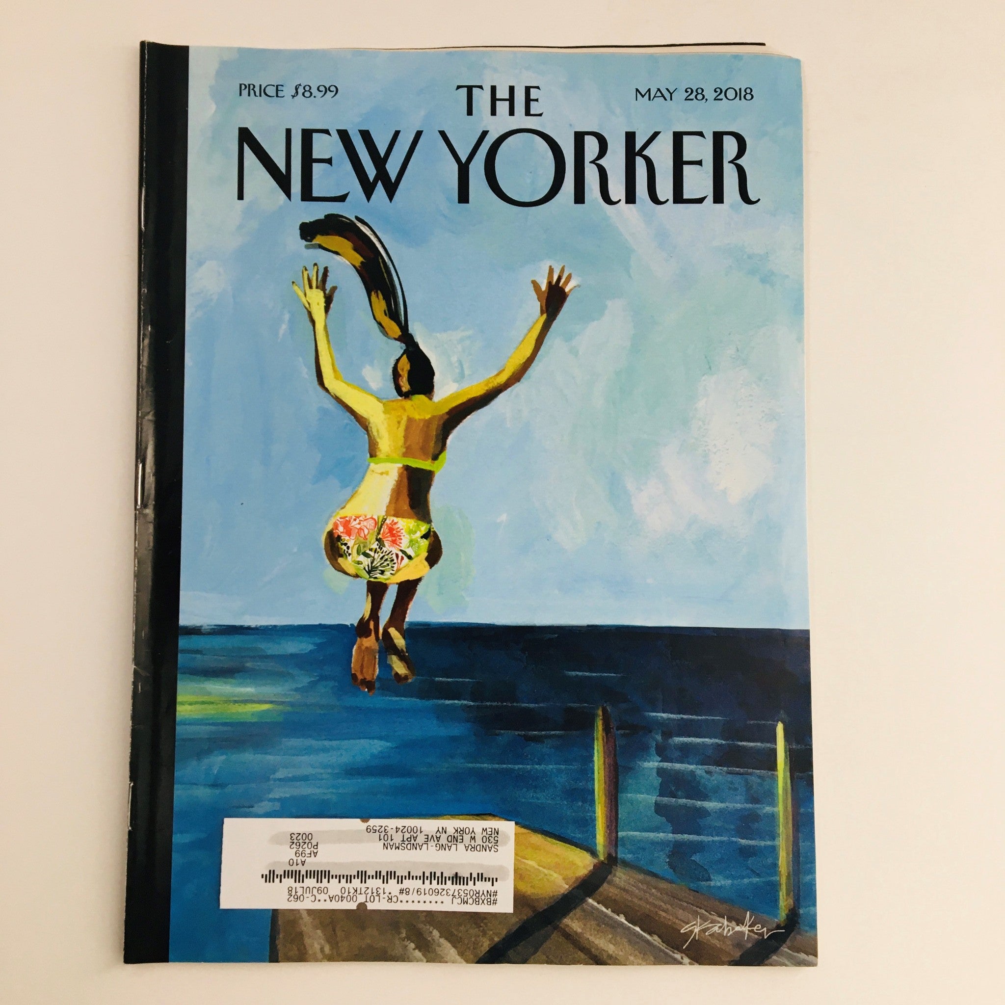 The New Yorker May 28 2018 Full Magazine Theme Cover by Gayle Kabaker VG