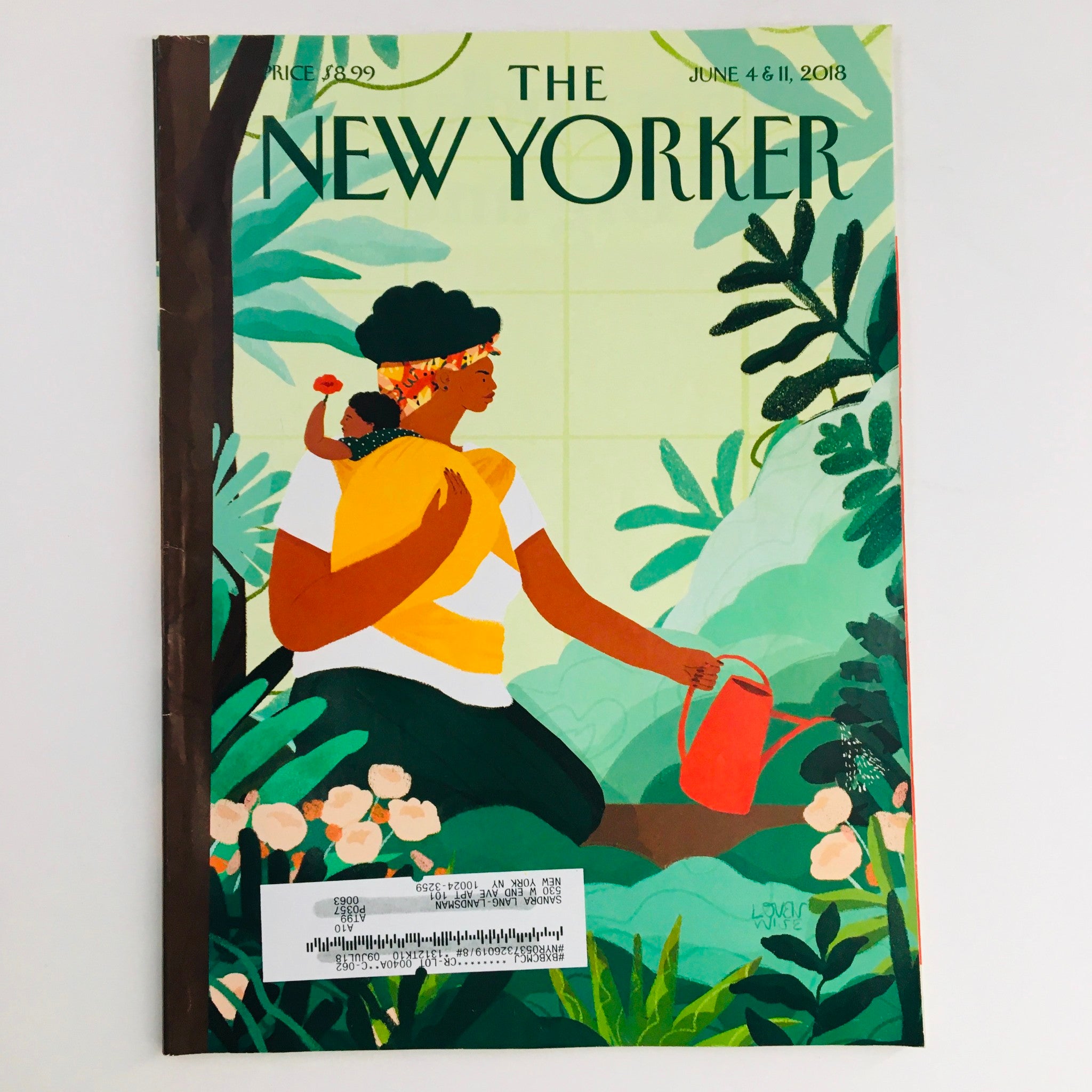 The New Yorker June 4 2018 Full Magazine Theme Cover by Loveis Weis VG