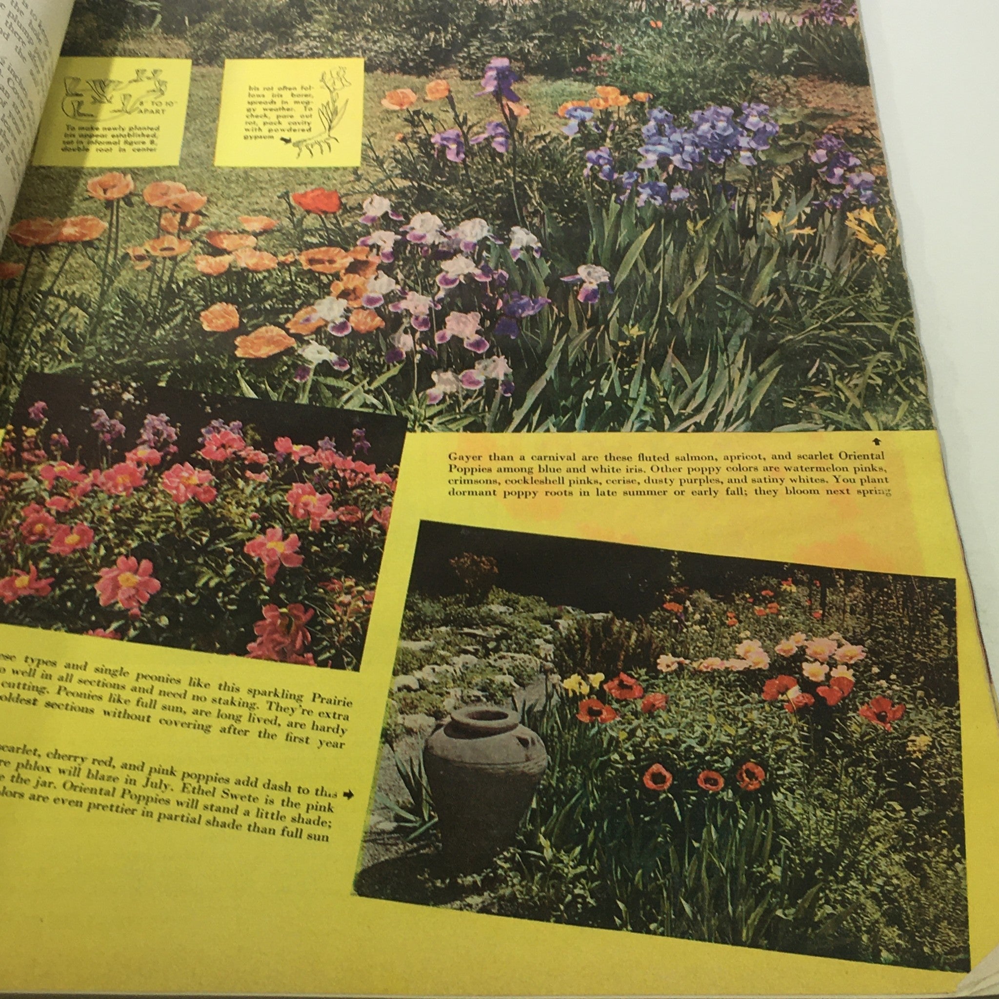 VTG Better Homes & Gardens' Gardening Guide: 1940 1941 1942 1943 - 7 Sections