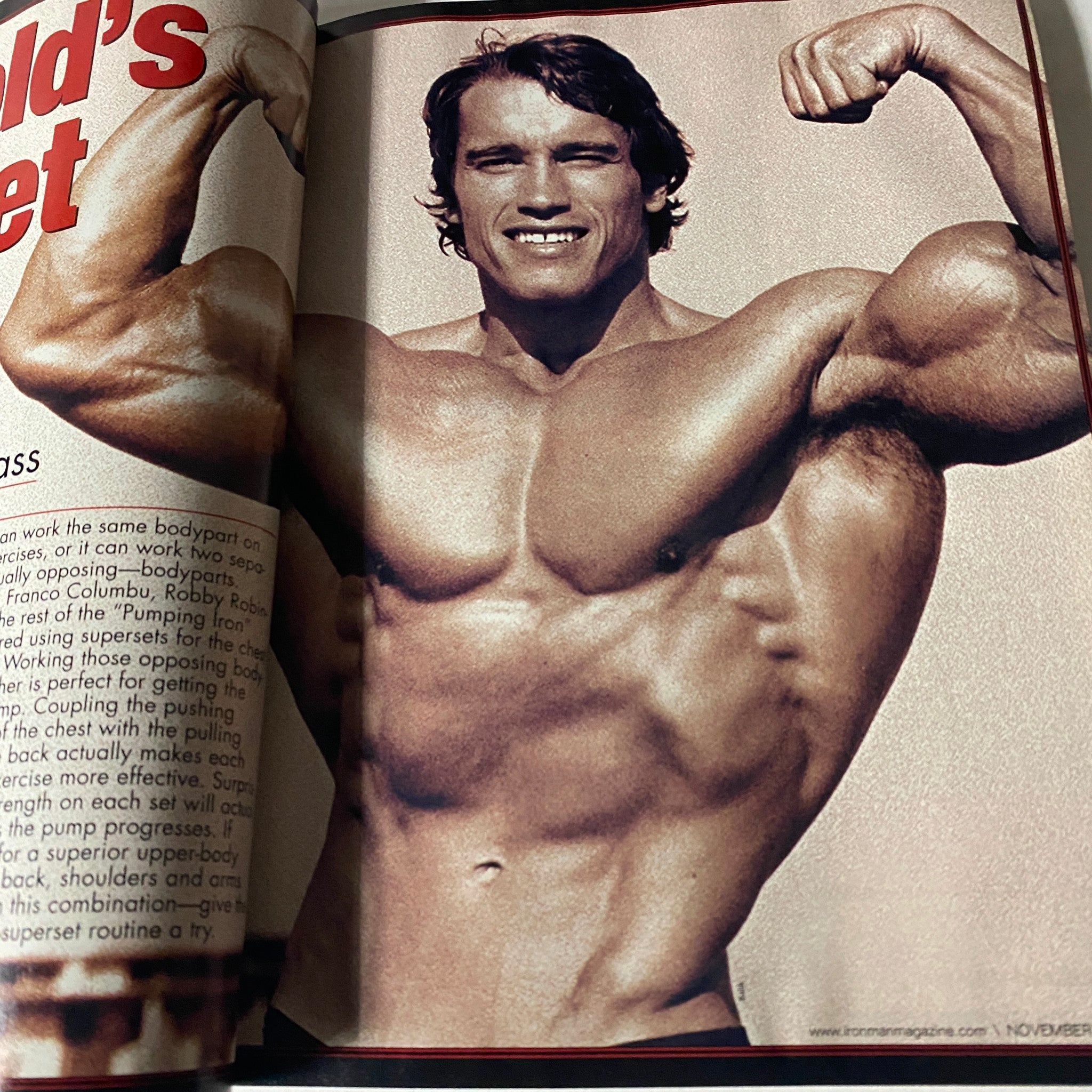 Iron Man Magazine November 2004 Vol 63 No. 11 Arnold Schwarzenegger No Label