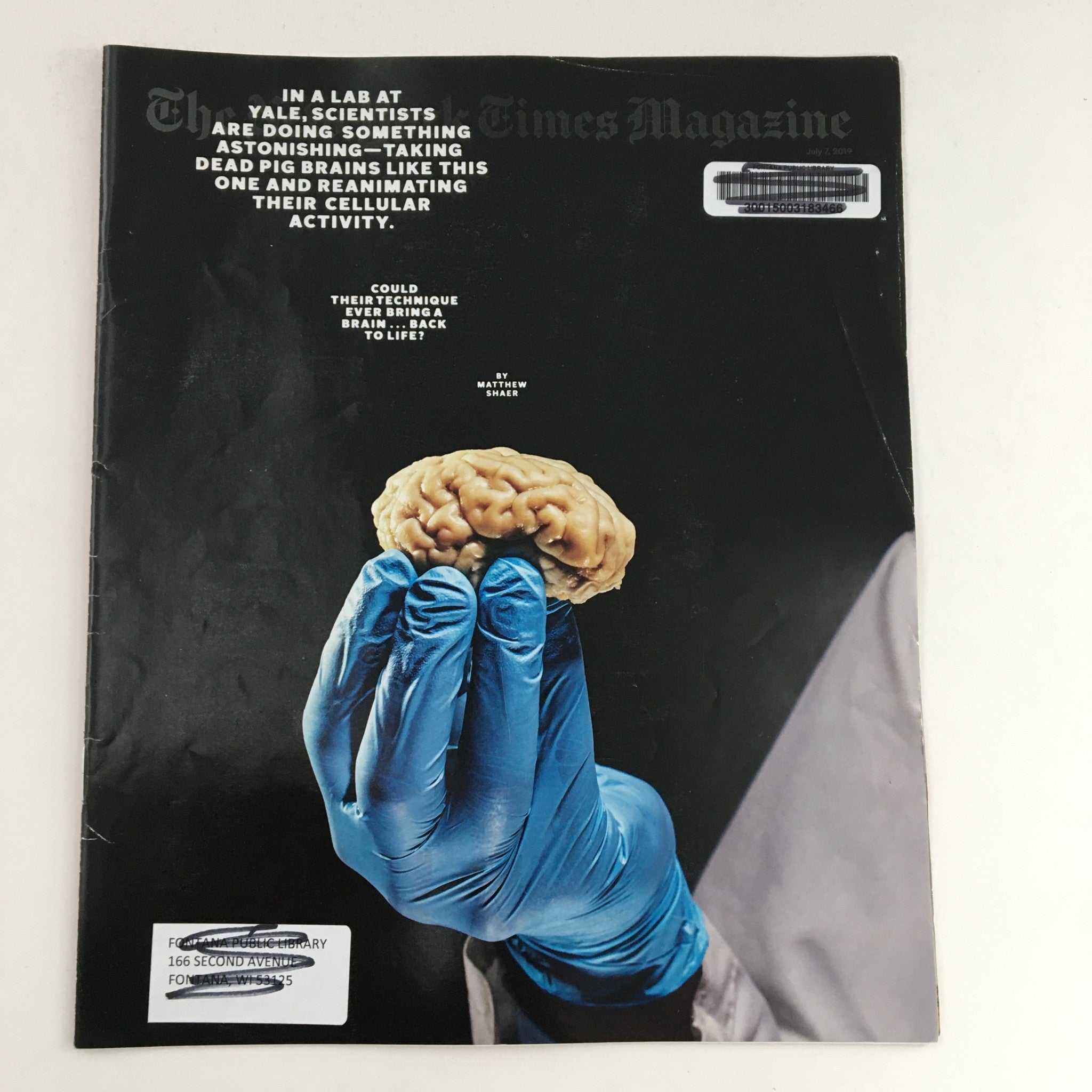 The New York Times Magazine July 7 2019 Taking Dead Pig Brains in a Lab at Yale