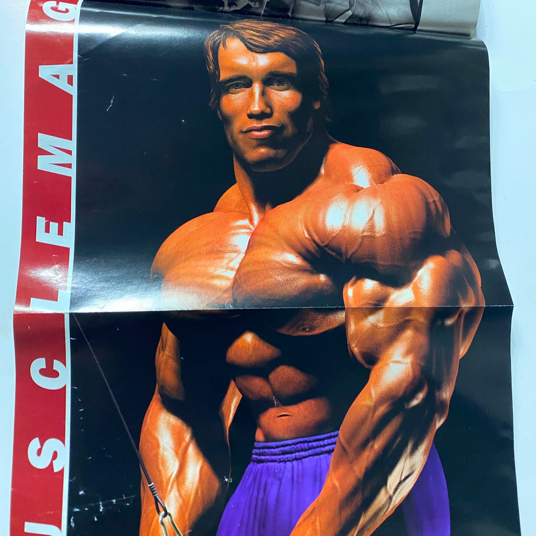 MuscleMag Magazine November 2007 No. 306 Arnold Schwarzenegger w Poster No Label