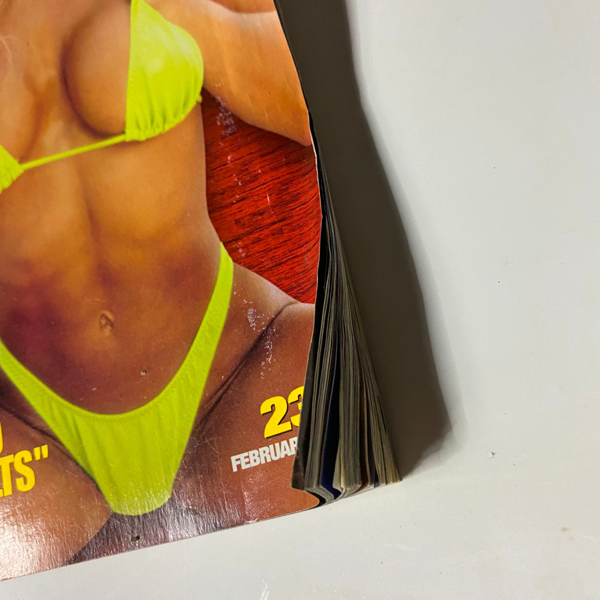 MuscleMag Int'l Magazine February 2002 No. 236 Trish Stratus No Label