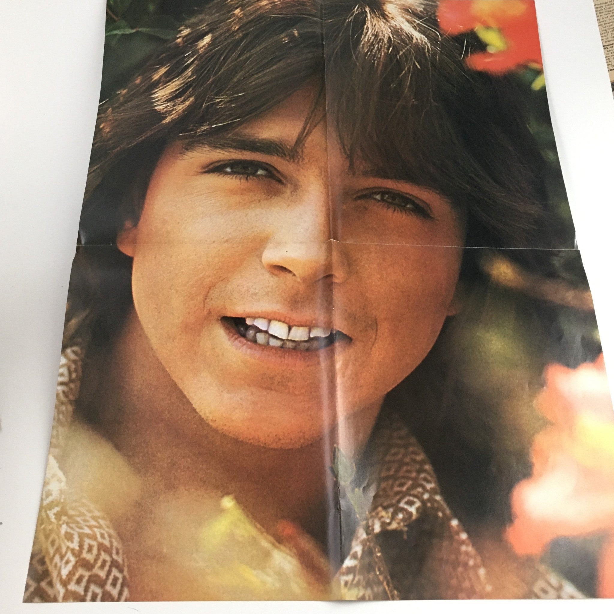 Tiger Beat Magazine November 1971 David Cassidy The Jackson 5 w Poster, No Label