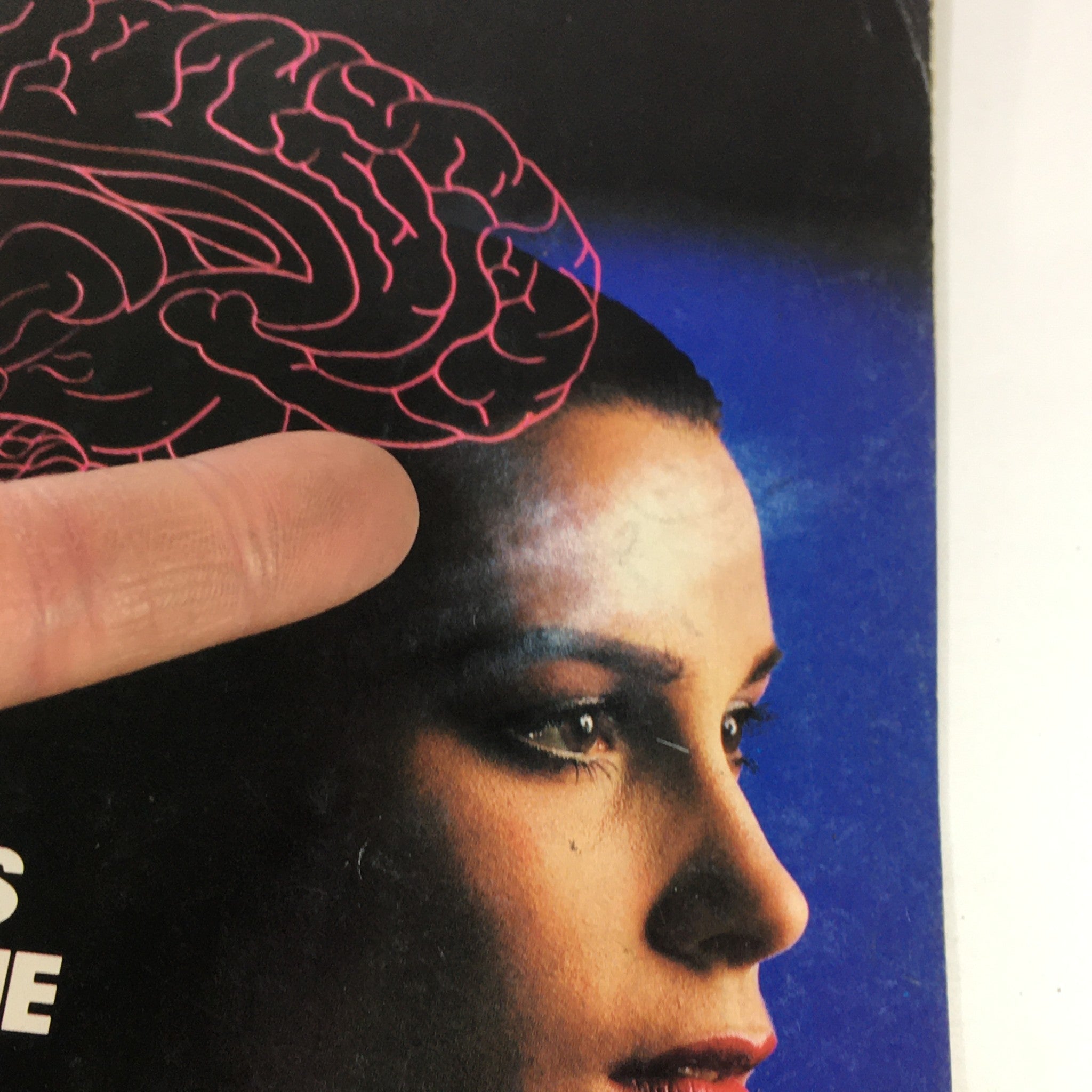 Close-up of the brain illustration on the cover of VTG Discover Newsmagazine Of Science, April 1981. The title reads 'The Sexes and The Brain'.