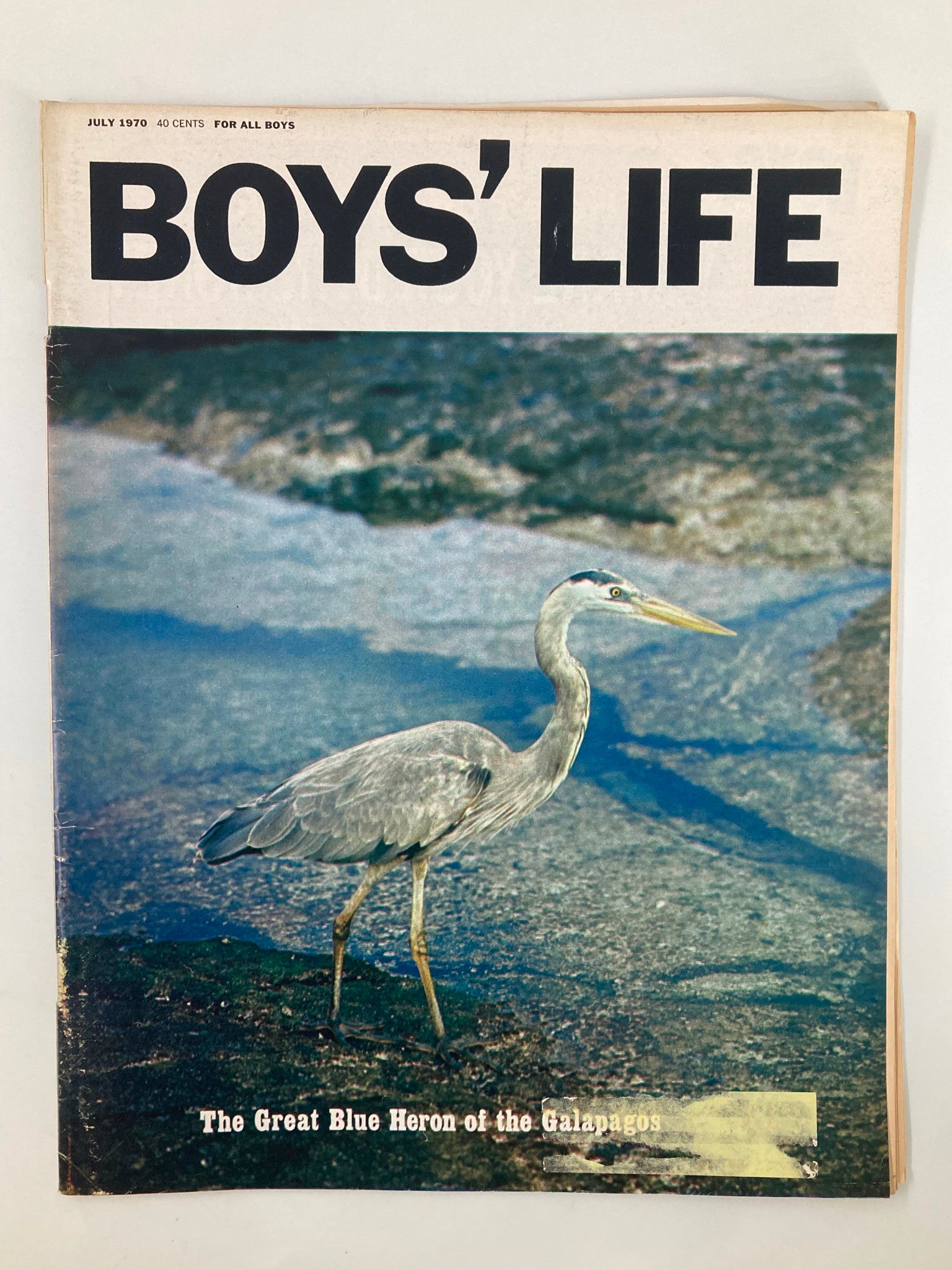 VTG Boys' Life Magazine July 1970 The Great Blue Heron of the Galapagos