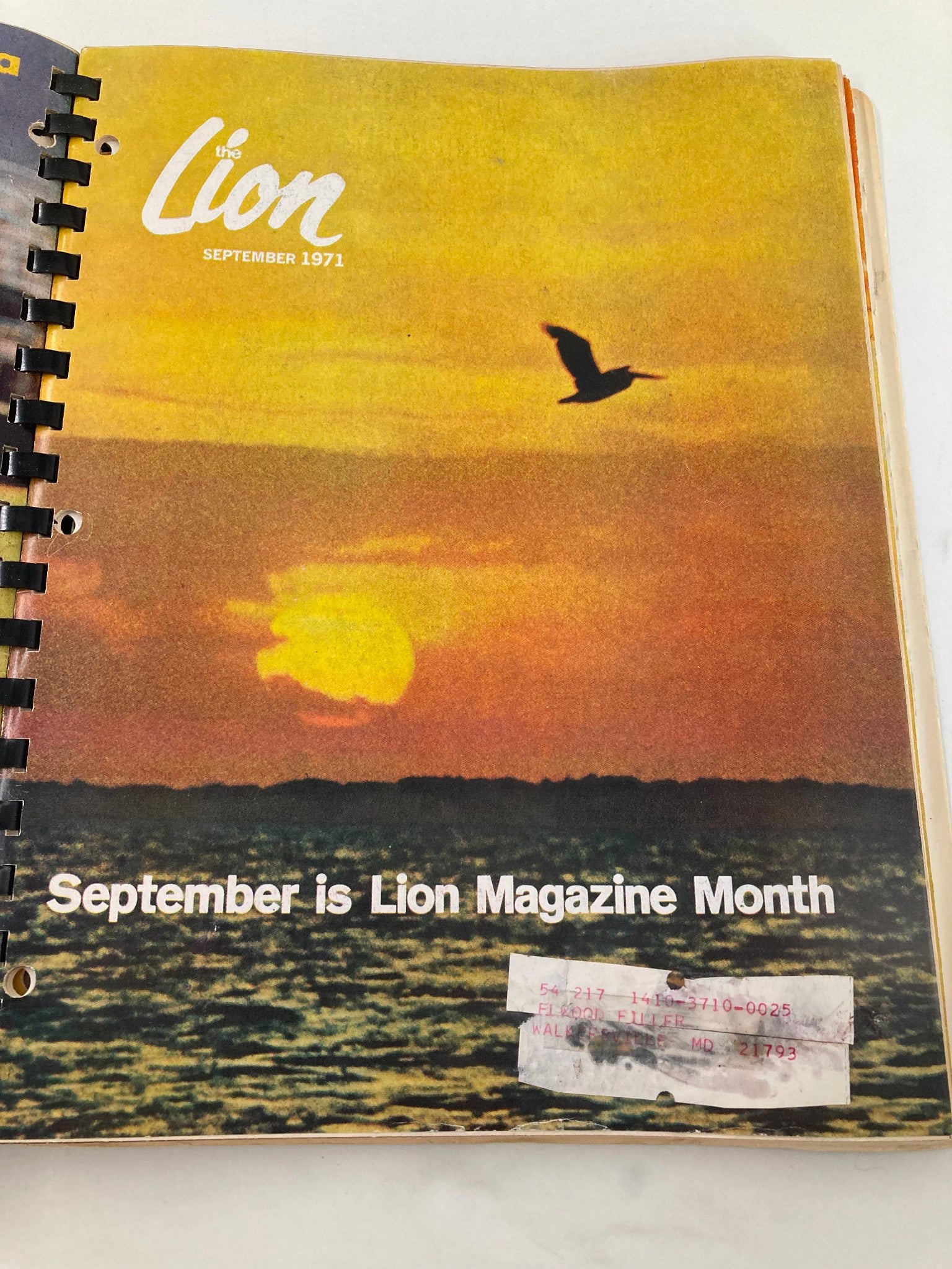 1971 January-December The Lion Magazine Full Year Hard Cover Compilation Issues