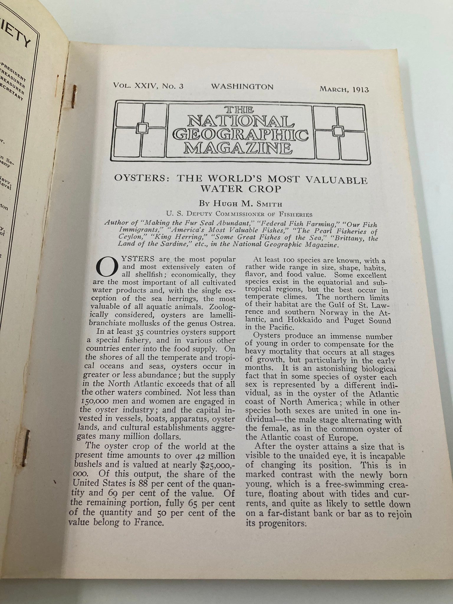 VTG The National Geographic Magazine March 1913 Saving the Ducks and Geese