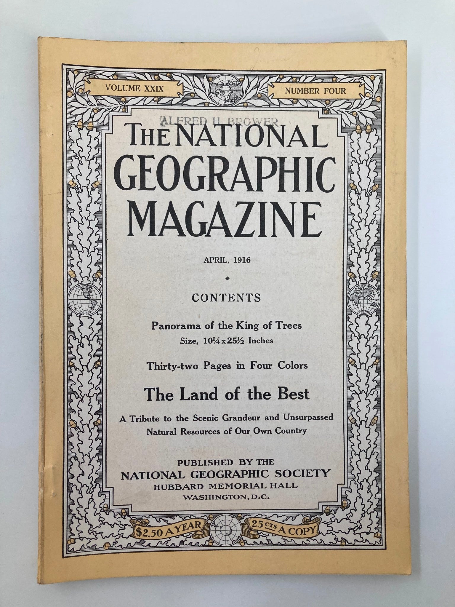 VTG The National Geographic Magazine April 1916 Panorama of the King of Trees