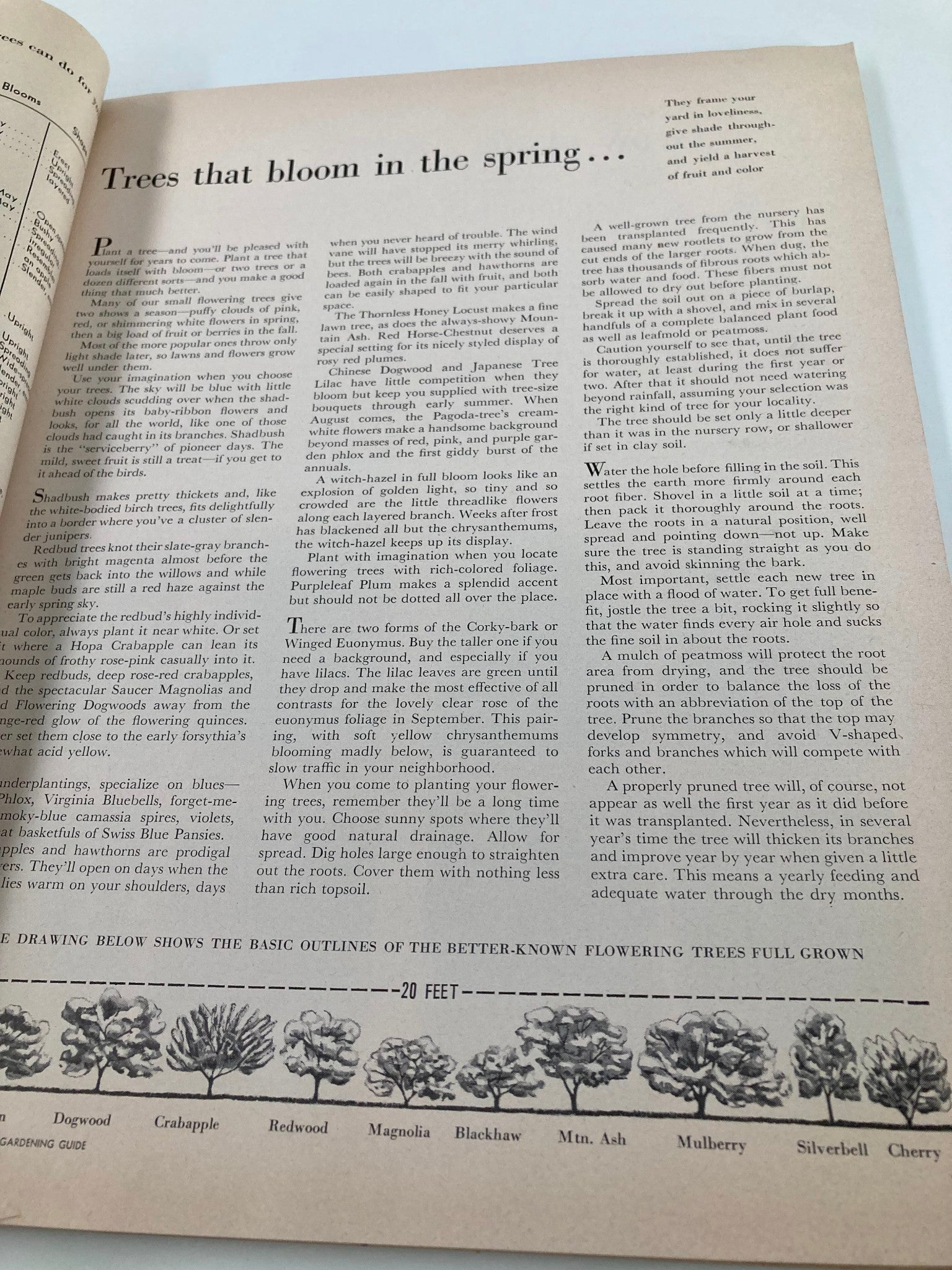 VTG Better Homes & Gardens Gardening Guide 1951 Trees That Bloom in Spring