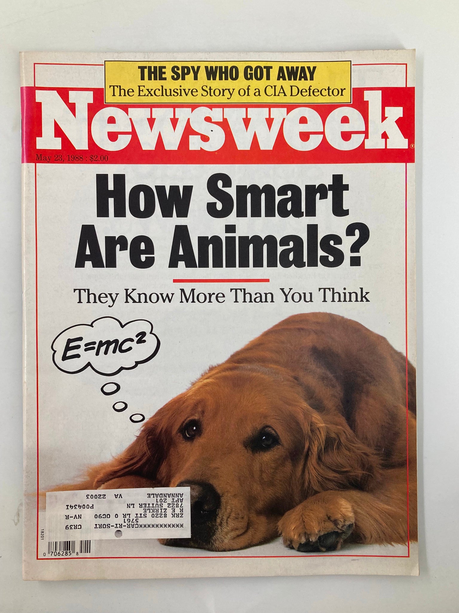 VTG Newsweek Magazine May 23 1988 How Smart Are Animals & The Spy Who Got Away