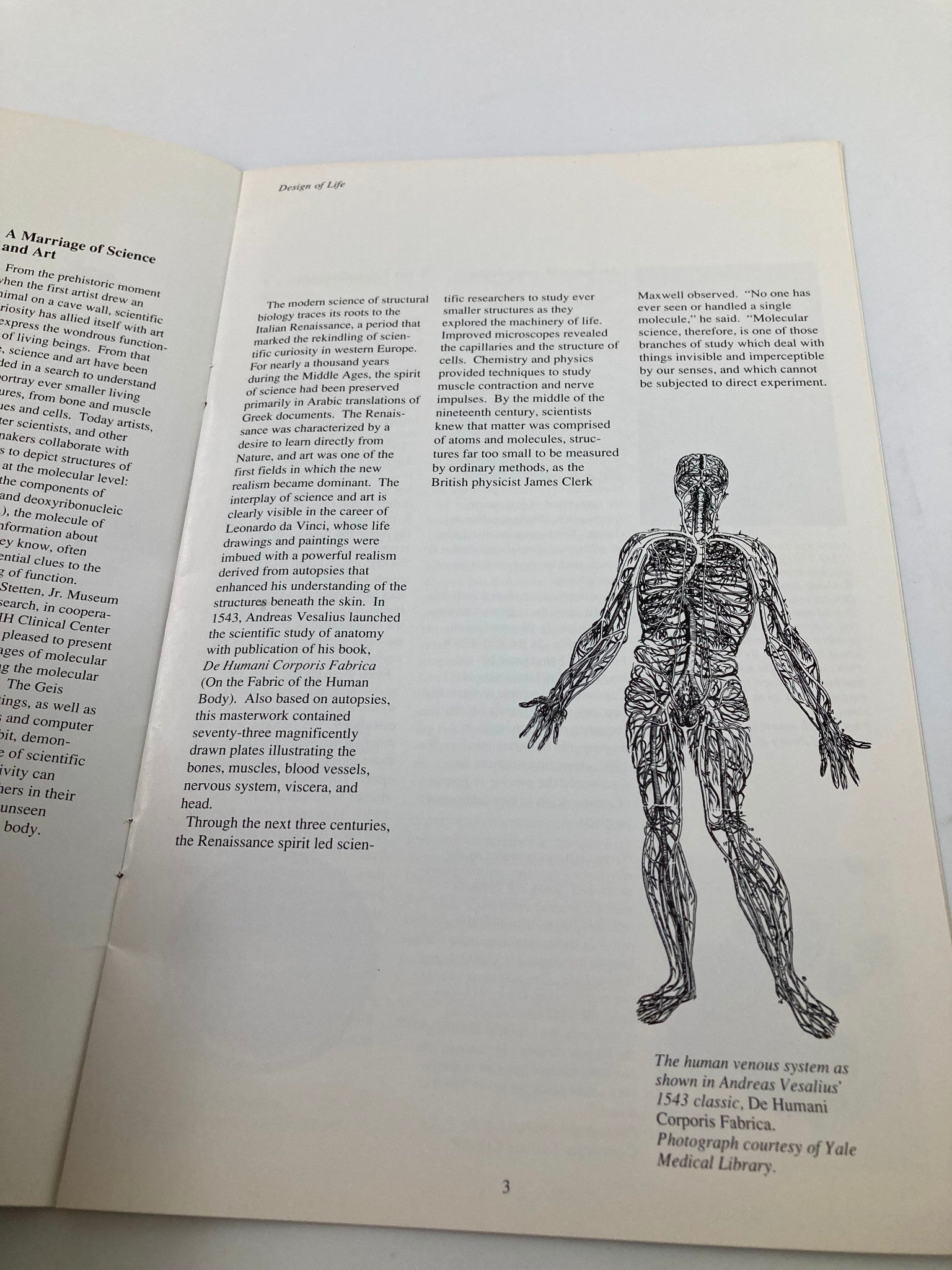 1988 Designs of Life An Exhibit of Molecular Structure Nat'l Institute of Health