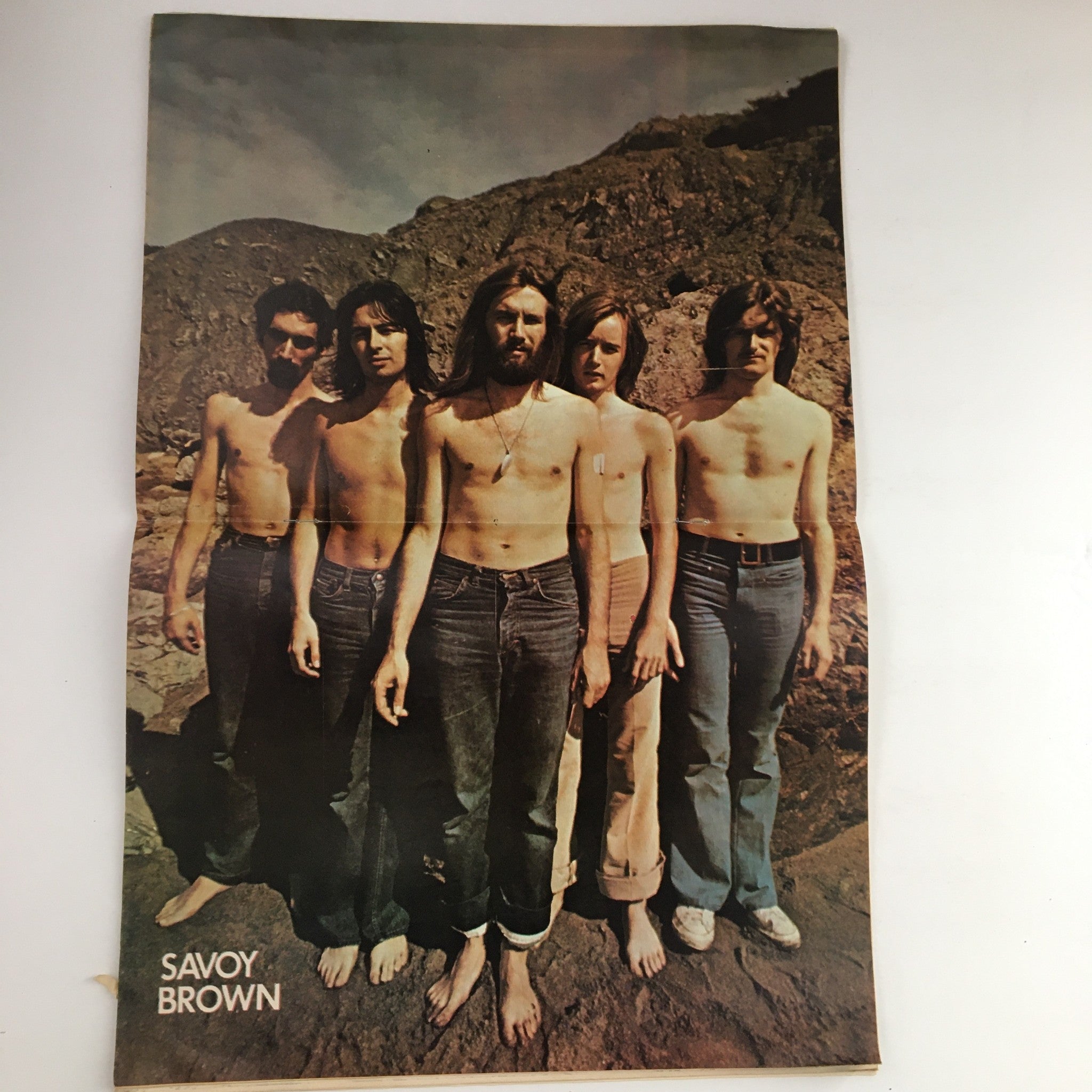 Centerfold poster of Savoy Brown from Hit Parader Magazine October 1972, showcasing the band in a scenic outdoor setting, representing the vibrant rock scene of the 1970s.
