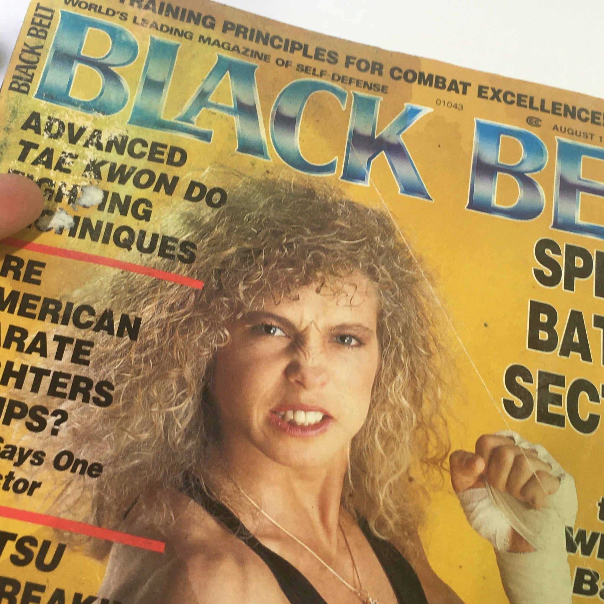 Black Belt Magazine August 1992 - Kickboxer Kathy Long / Jujutsu Techniques