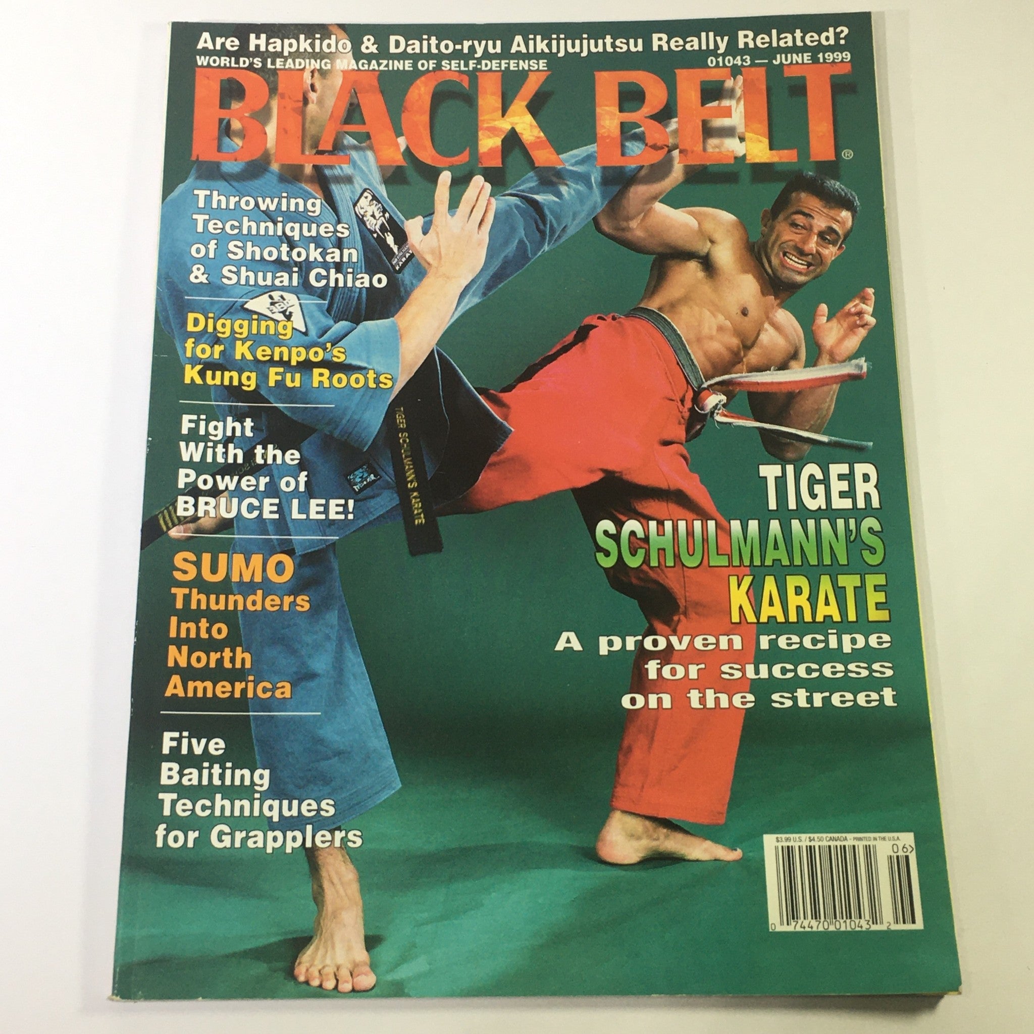 Black Belt Magazine June 1999 - Kennpo Kung Fu Roots / Tiger Schulmann's Karate