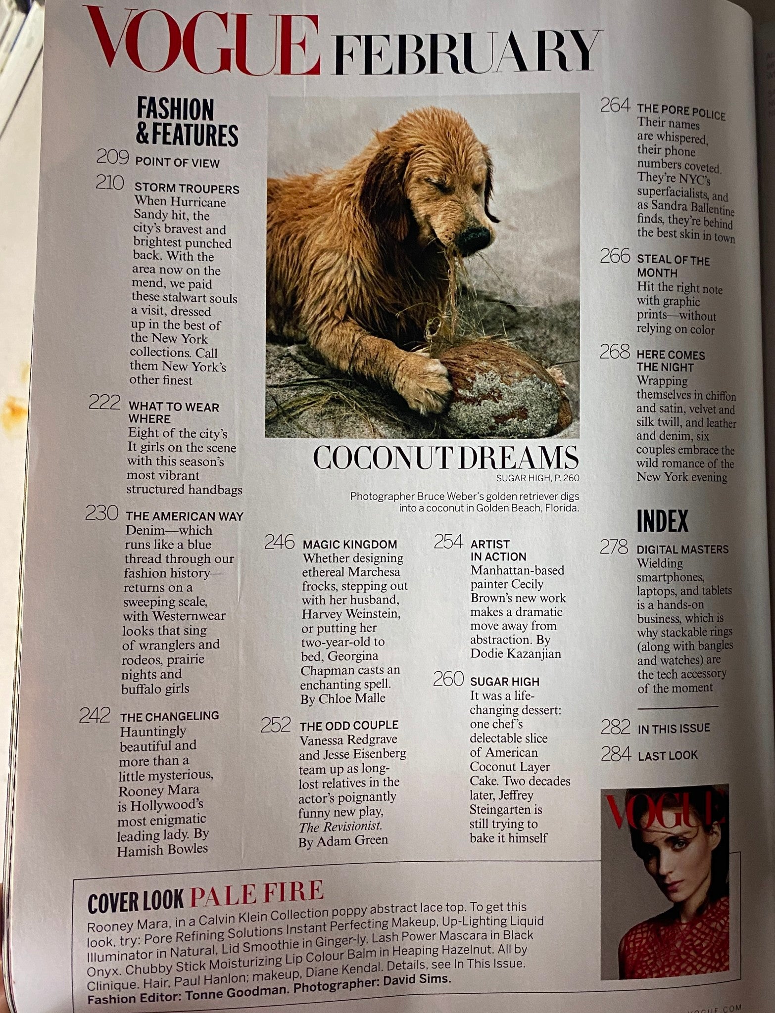Vogue Magazine February 2013 featuring an article 'Coconut Dreams' with a golden retriever image, showcasing its captivating blend of fashion and features.