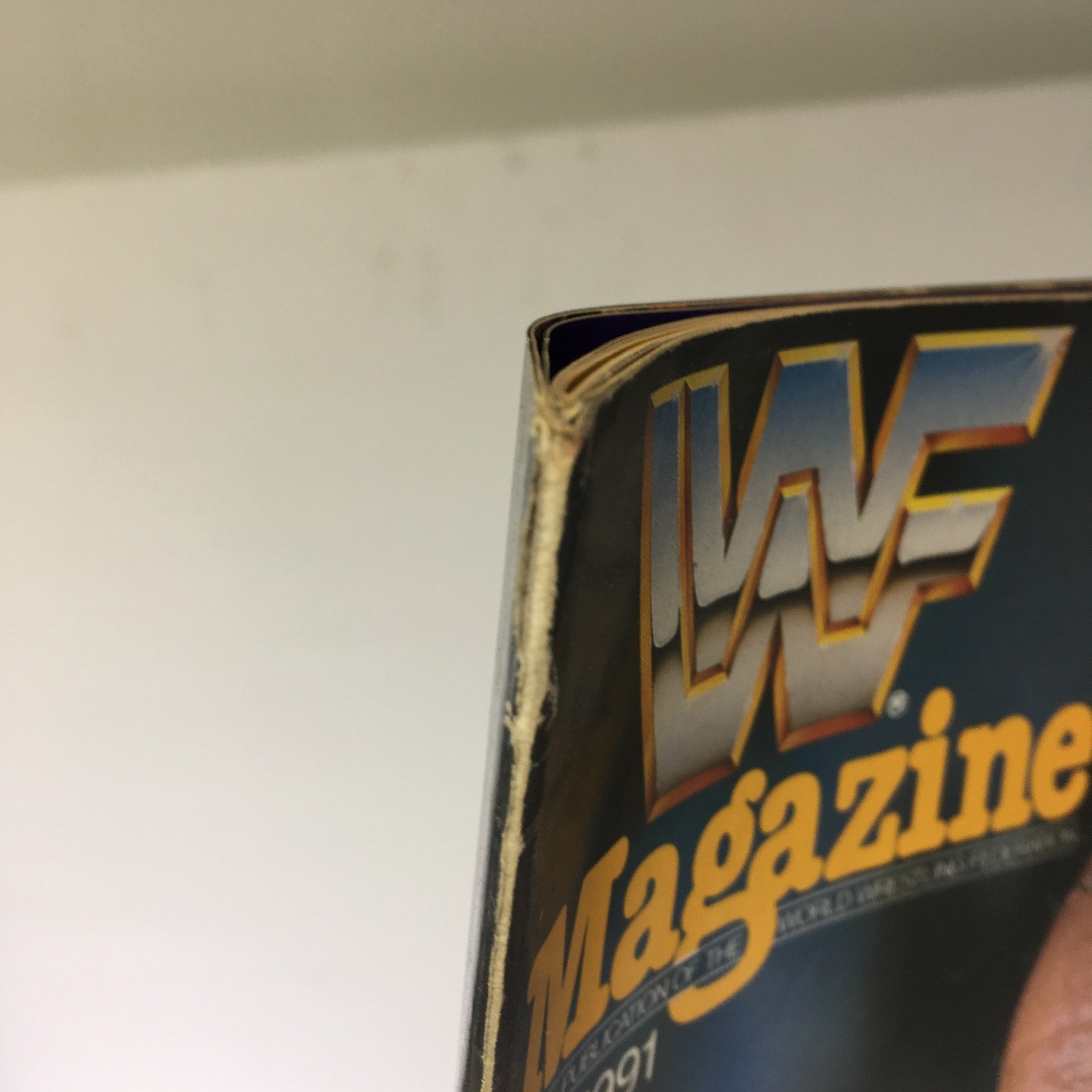 WWF Magazine: Jake the Snake July 1991