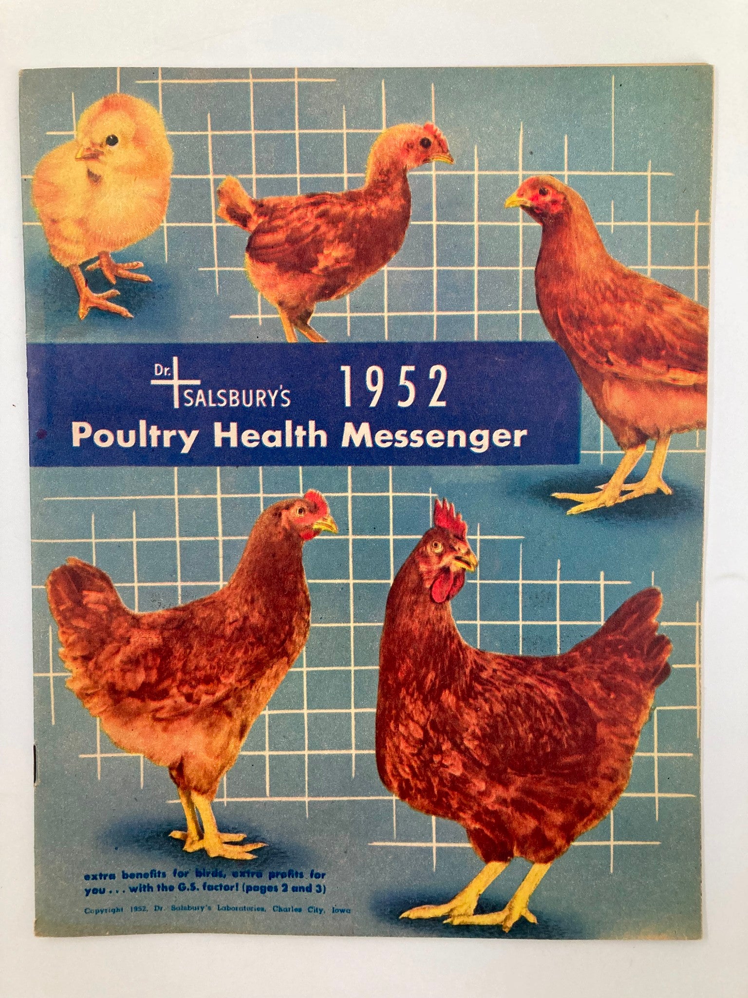 VTG Dr. Salsbury's Poultry Health Messenger 1952 Extra Benefits For Birds