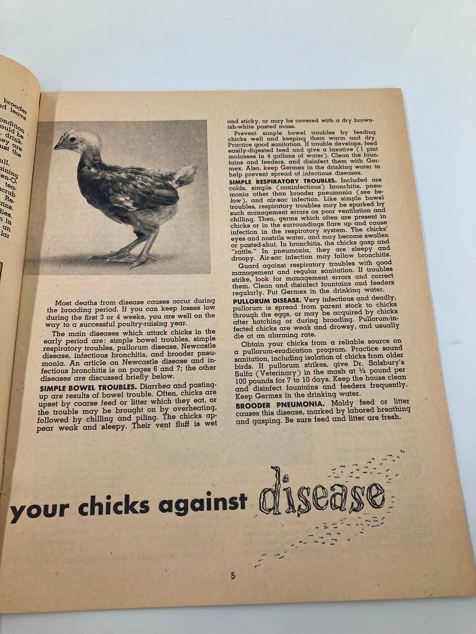 VTG Dr. Salsbury's Poultry Health Messenger 1952 Extra Benefits For Birds