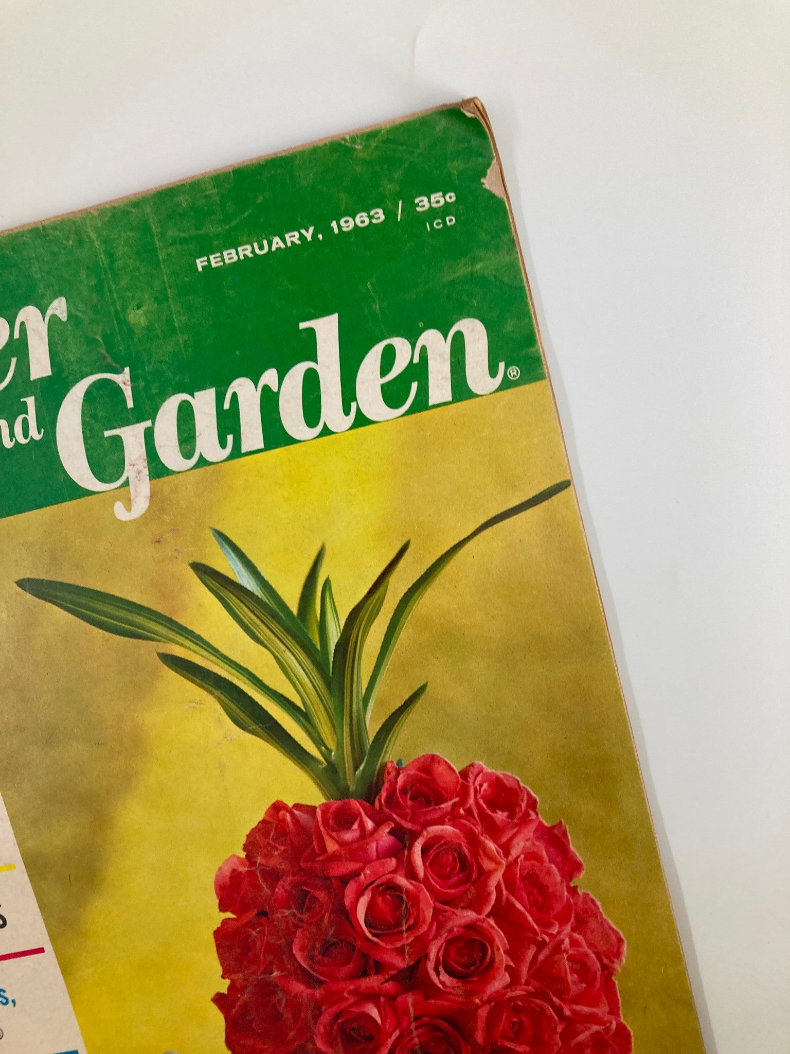 VTG Flower and Garden Magazine February 1963 The Tropicana Rose No Label