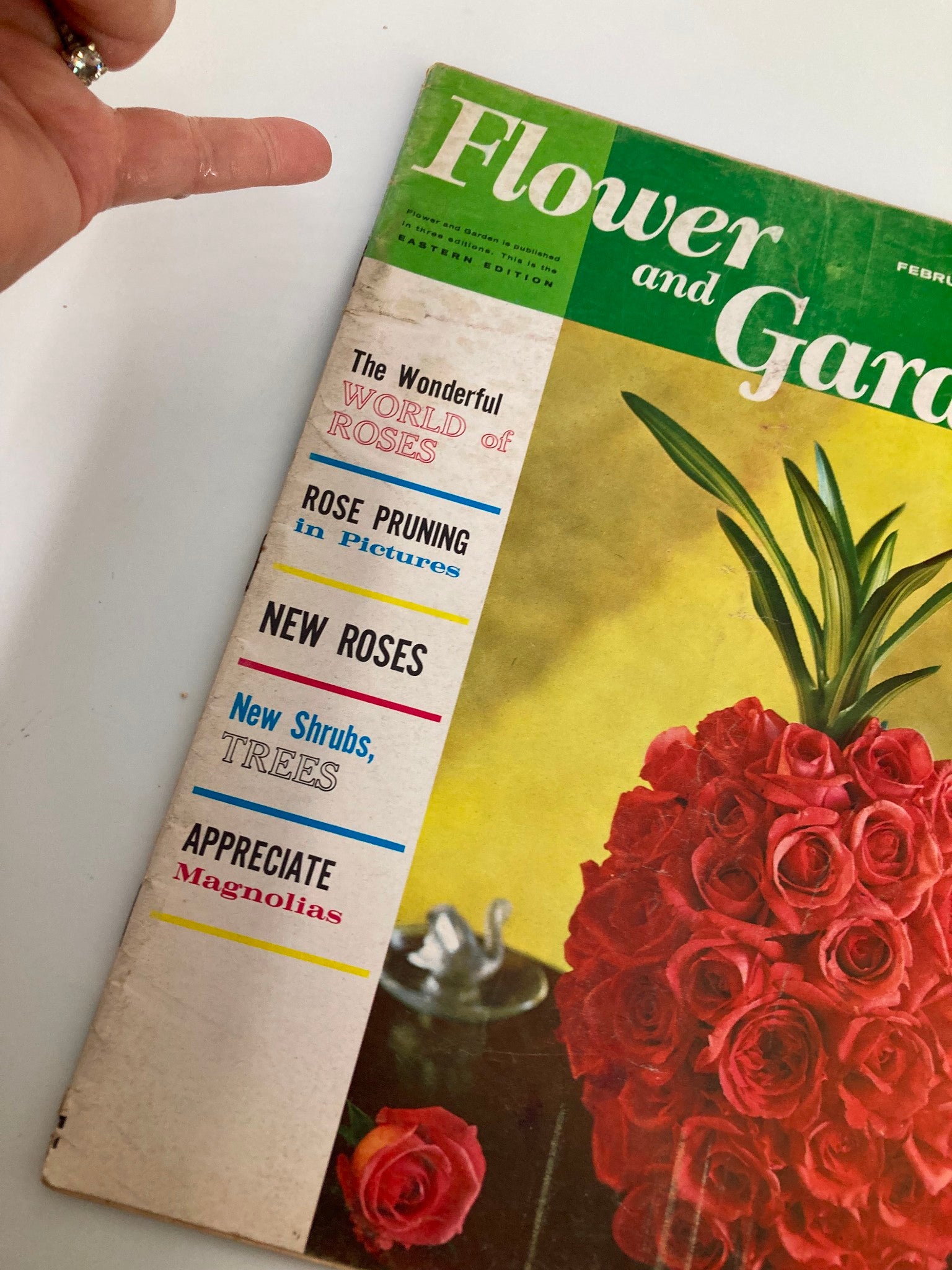 VTG Flower and Garden Magazine February 1963 The Tropicana Rose No Label