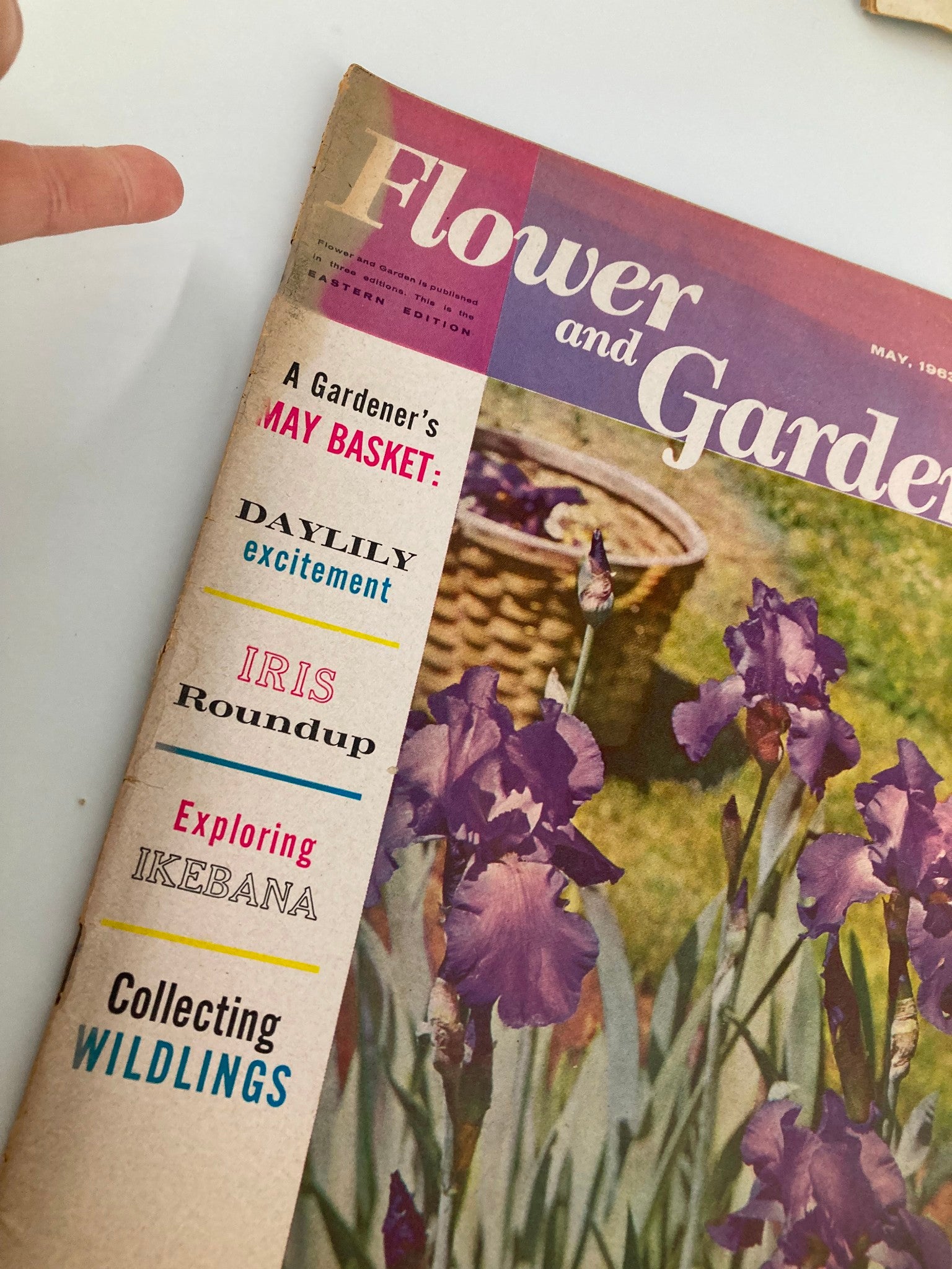 VTG Flower and Garden Magazine May 1963 Tall Bearded Iris 'First Violet'