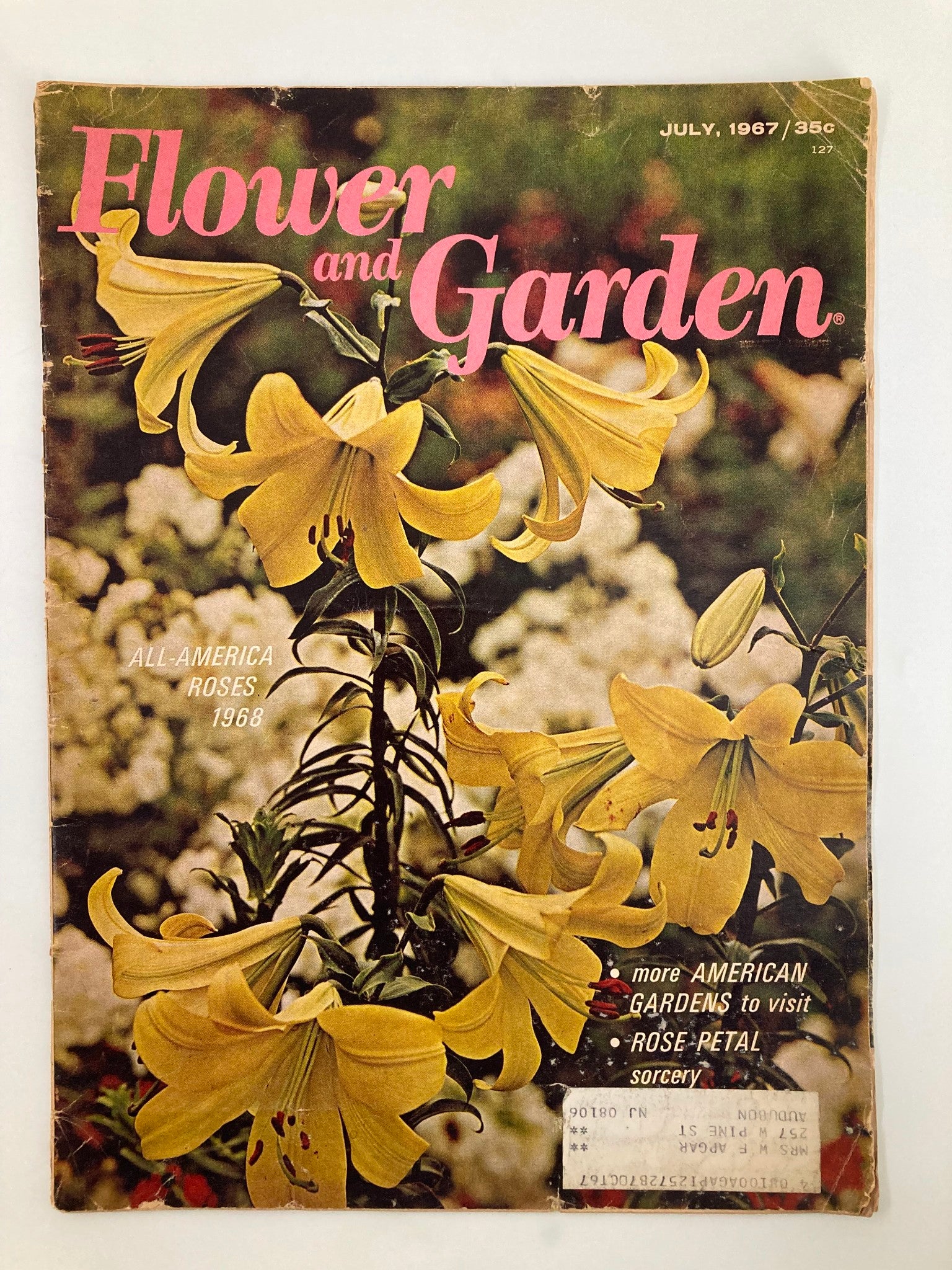 VTG Flower and Garden Magazine July 1967 Lilie Honored Hybrid Variety Lime-Light