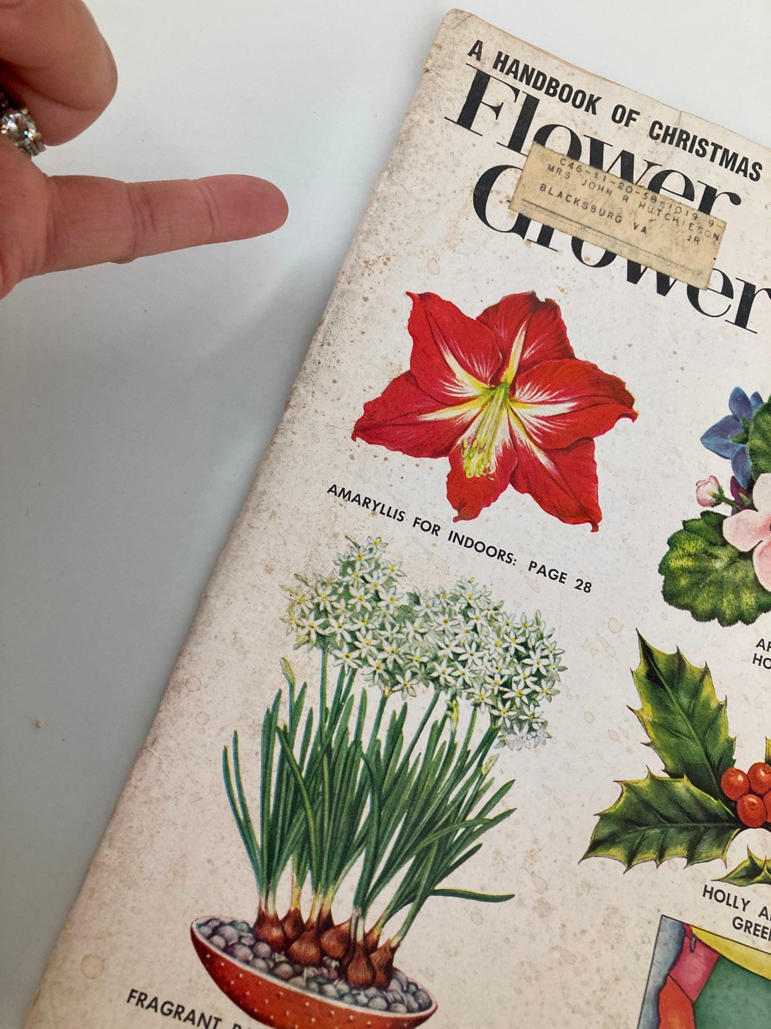 VTG The Home Garden Magazine December 1958 My Garden Diary for December