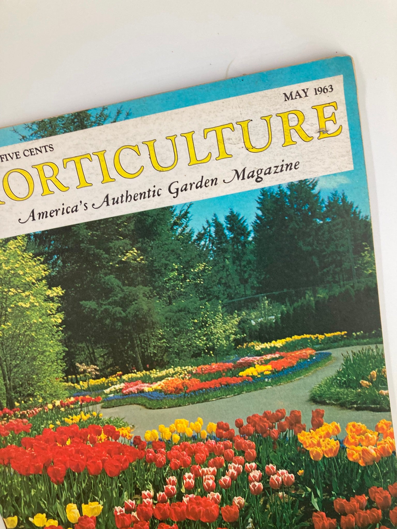 VTG Horticulture Magazine May 1963 Dutch Garden of Mr. and Mrs. Pierre Timp