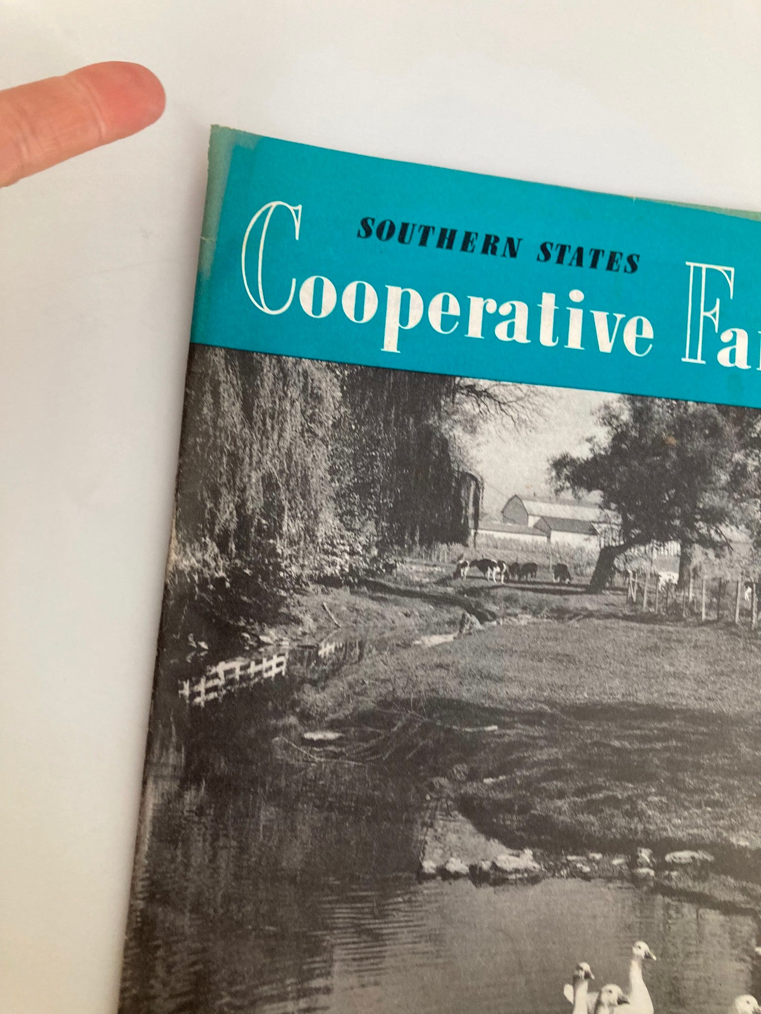 VTG Southern States Cooperative Farmer October 1954 Better Feed Through Research