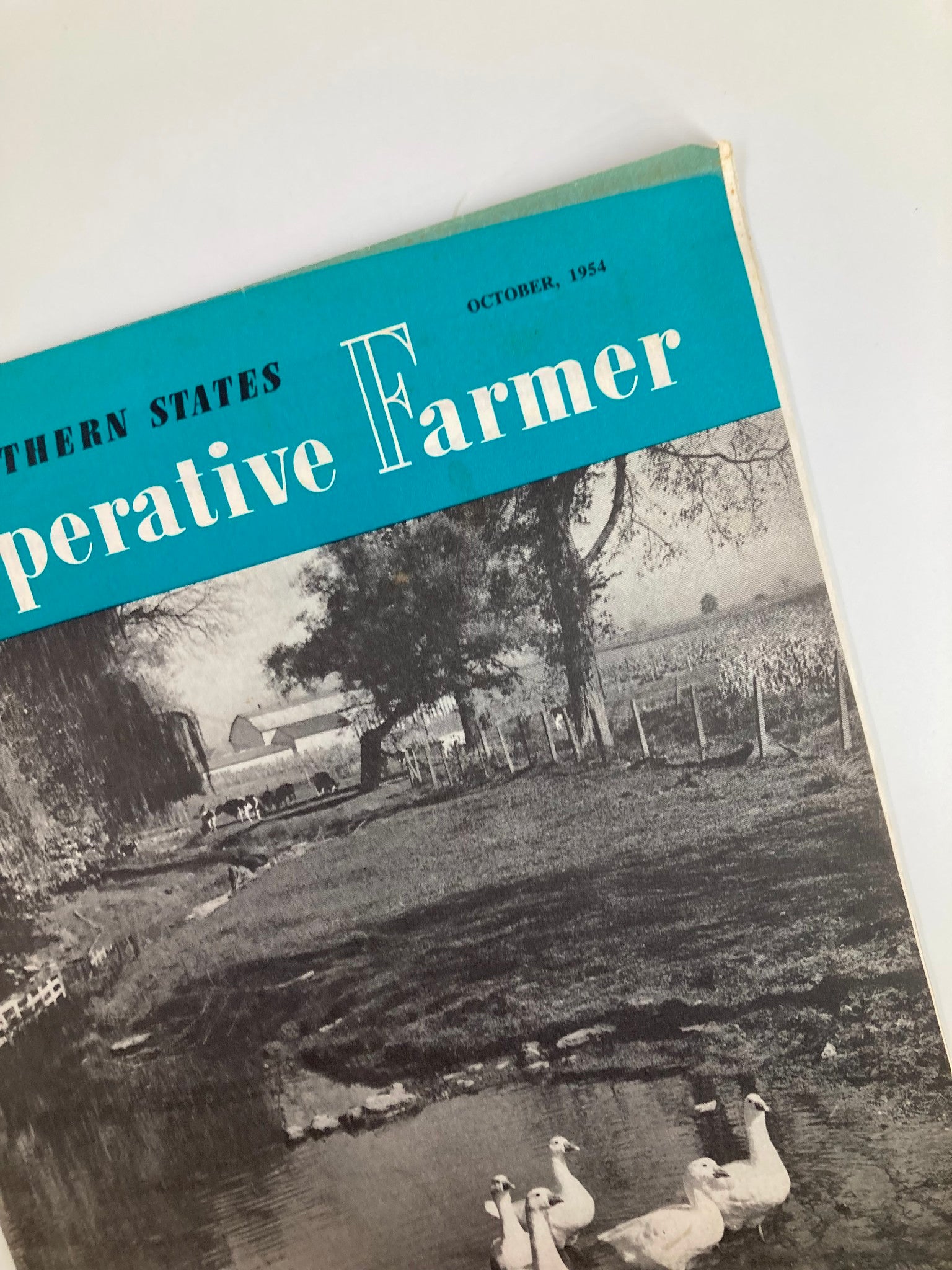 VTG Southern States Cooperative Farmer October 1954 Better Feed Through Research