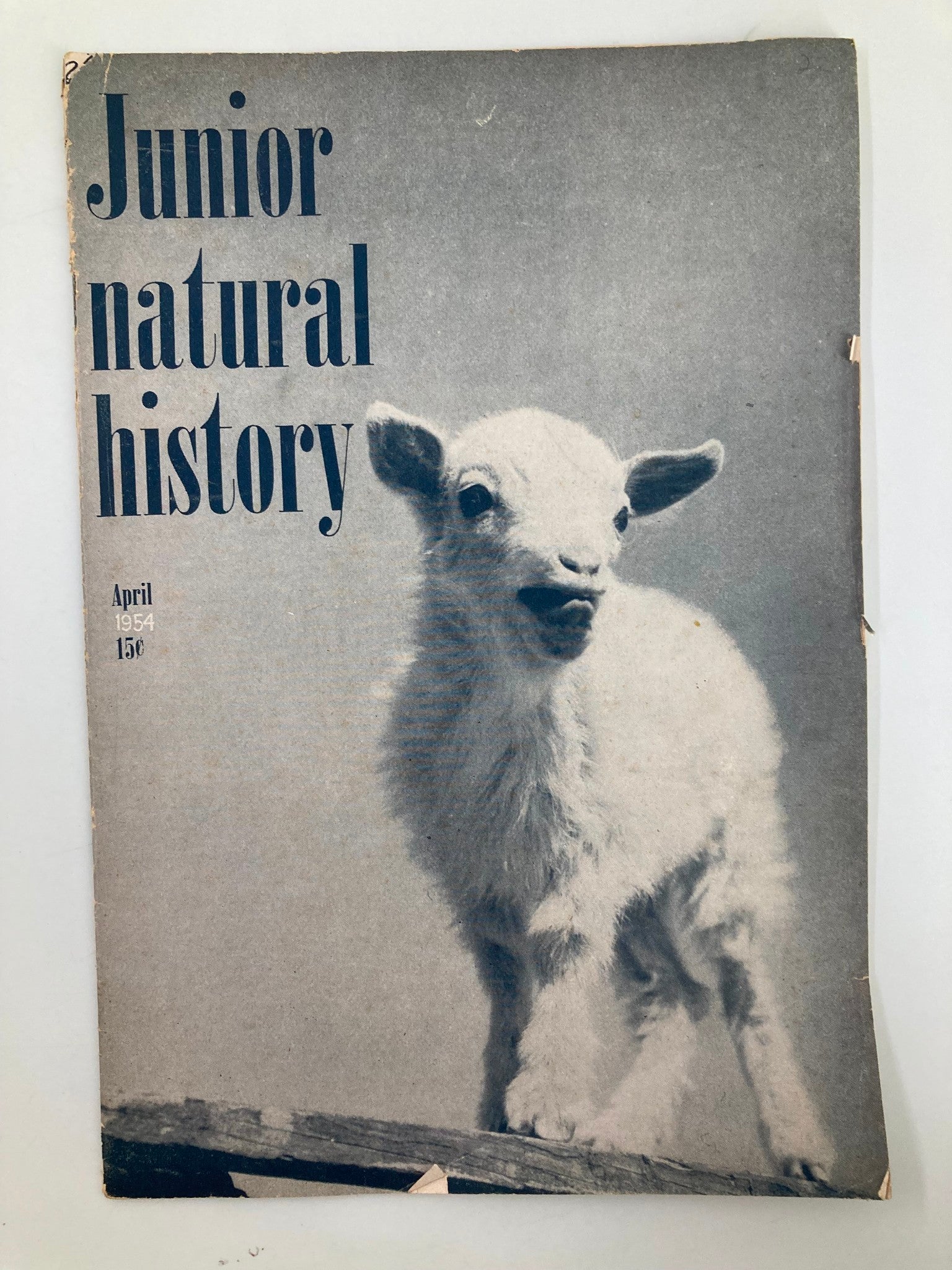 VTG Junior Natural History Magazine April 1954 Goats, Tin Cans & Family