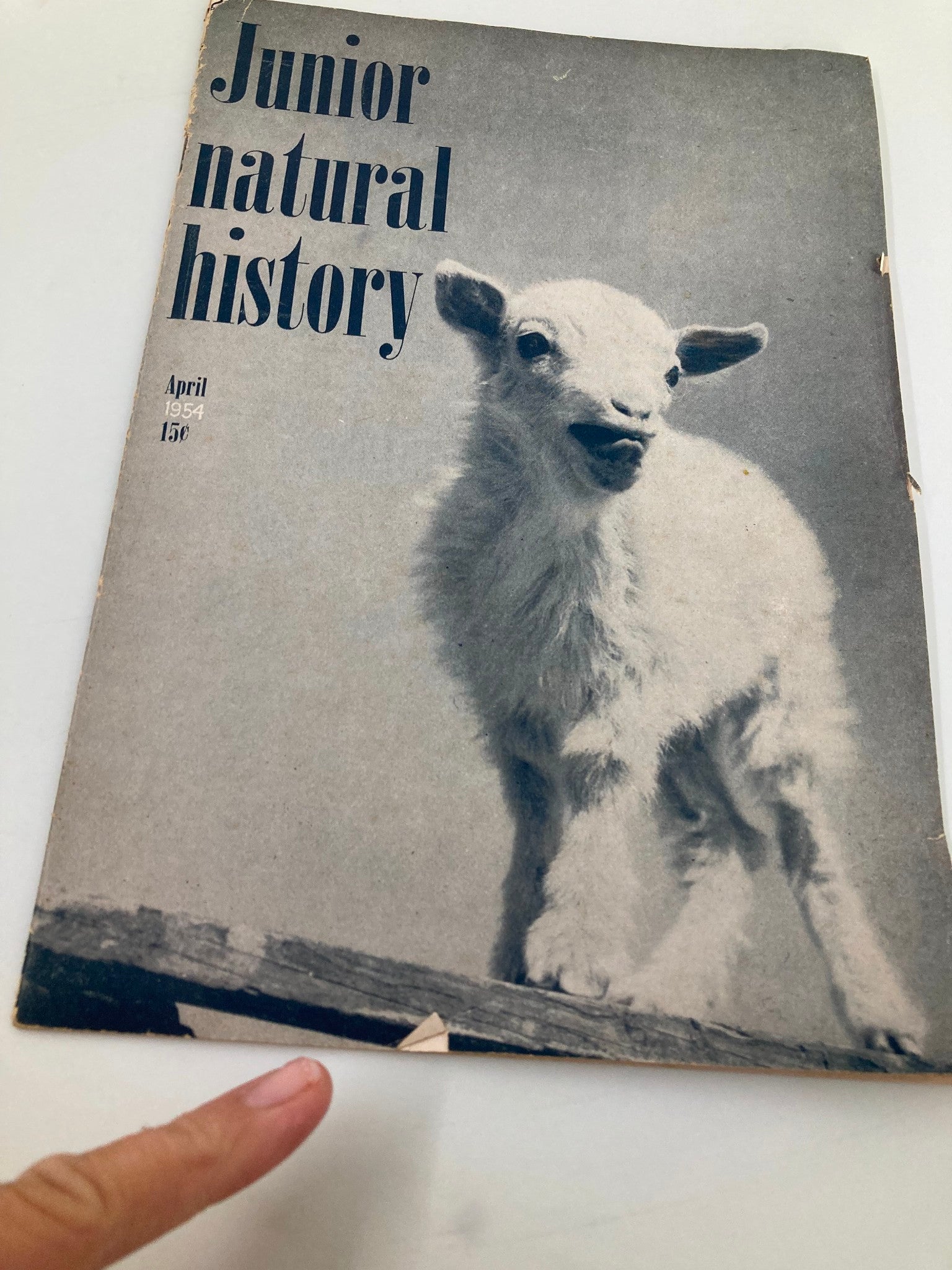 VTG Junior Natural History Magazine April 1954 Goats, Tin Cans & Family